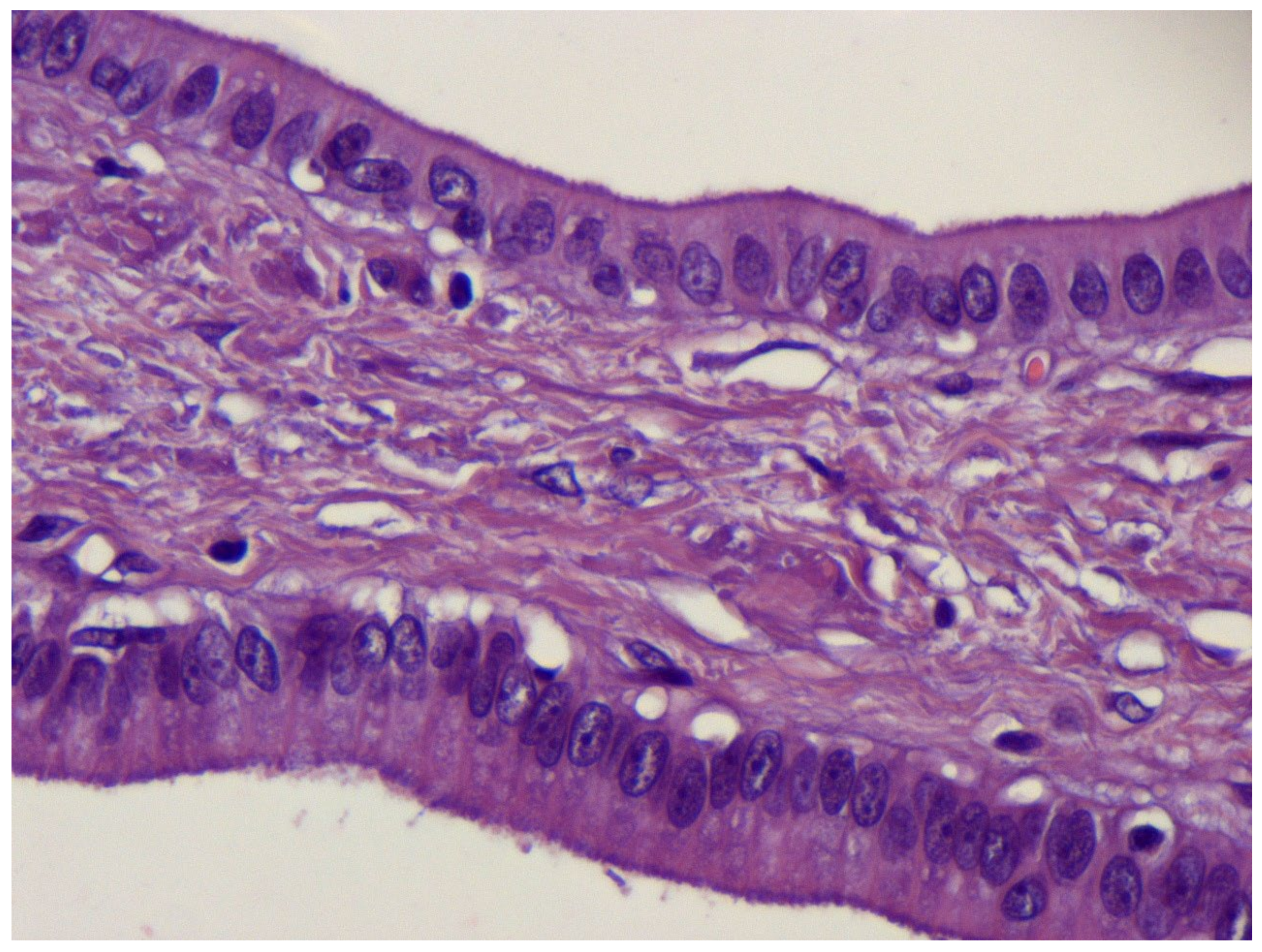 Medicina 59 01770 g007