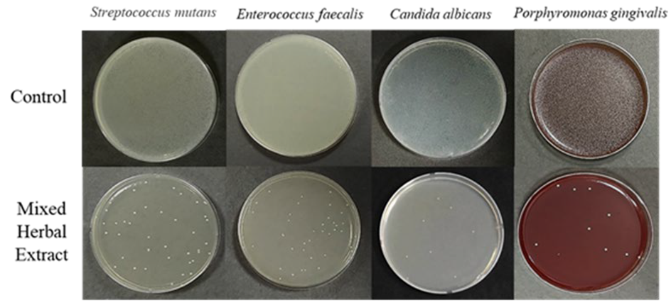 Medicina 59 01771 g001