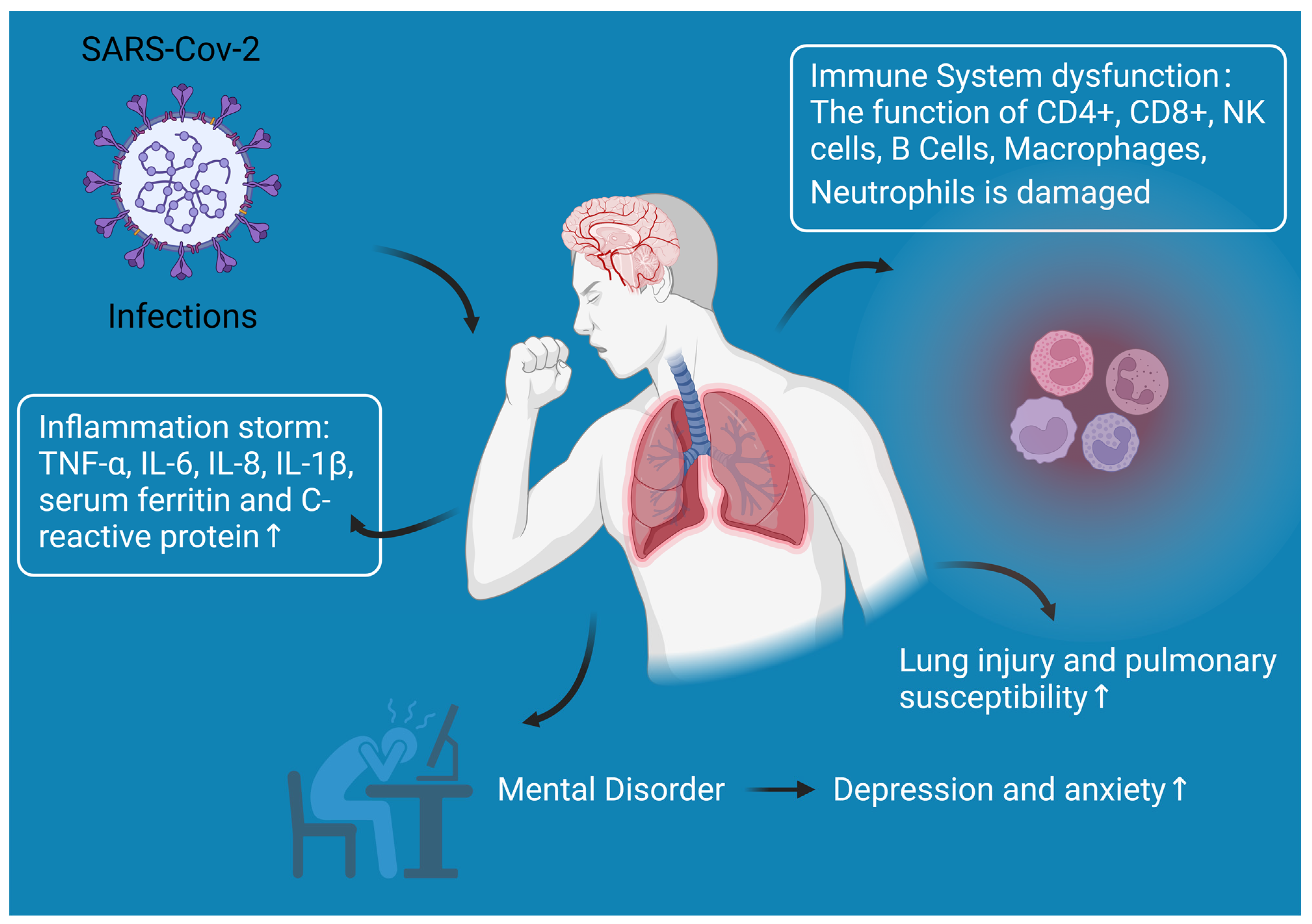 Impact of exercise on markers of B cell-related immunity: A