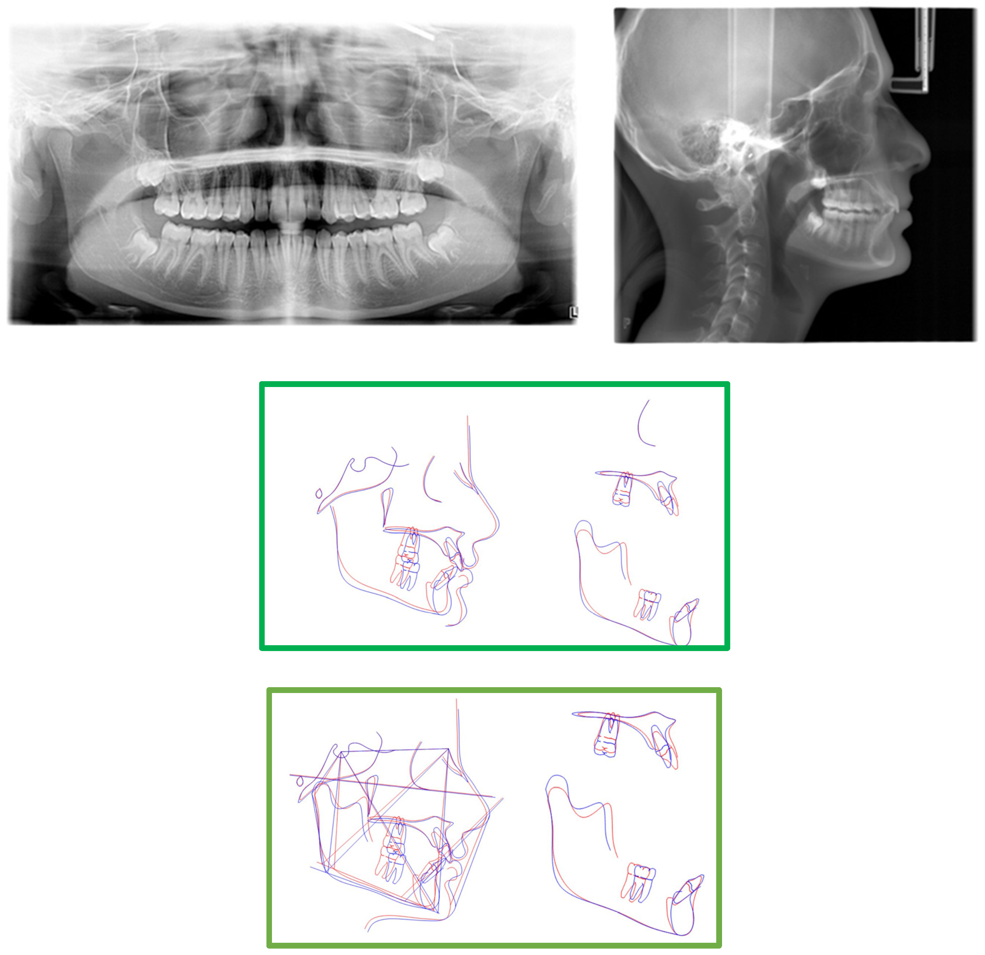 Medicina 59 01774 g005 Medicina 59 01774 g005