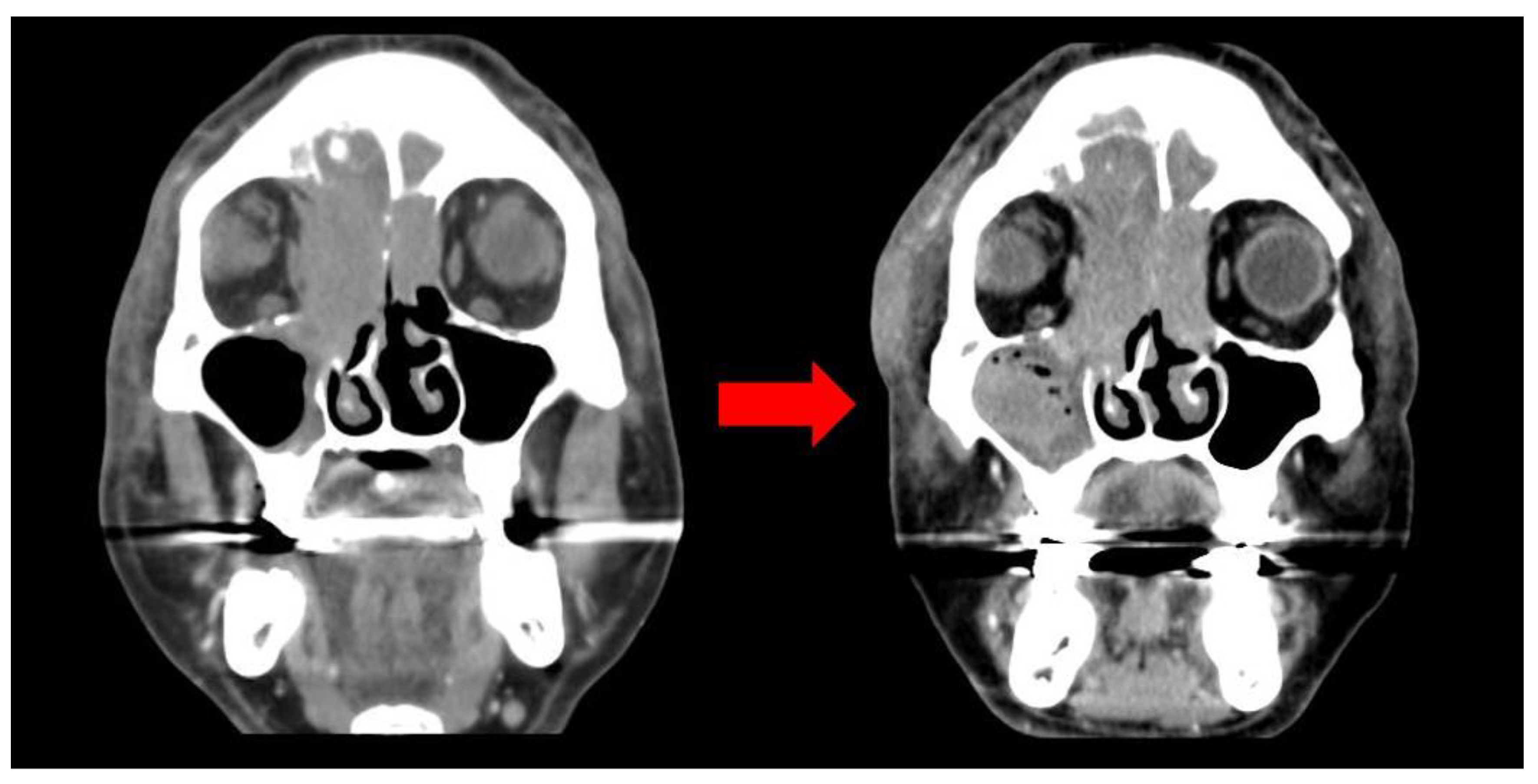 Medicina 59 01775 g002