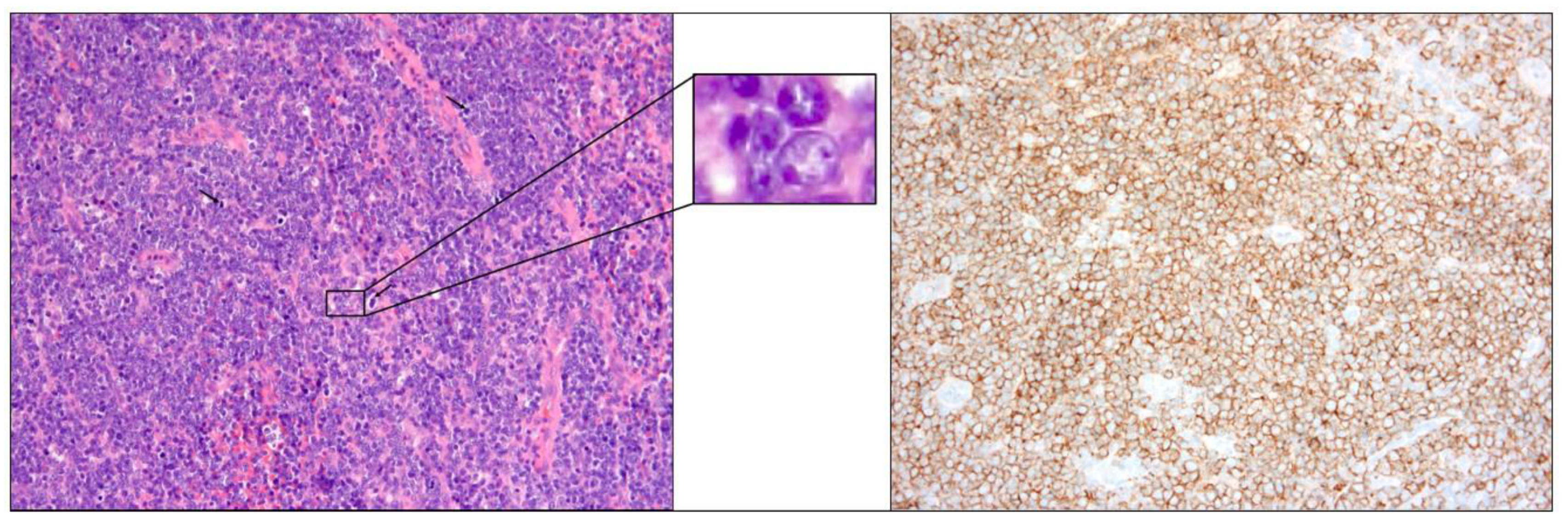 Medicina 59 01775 g003