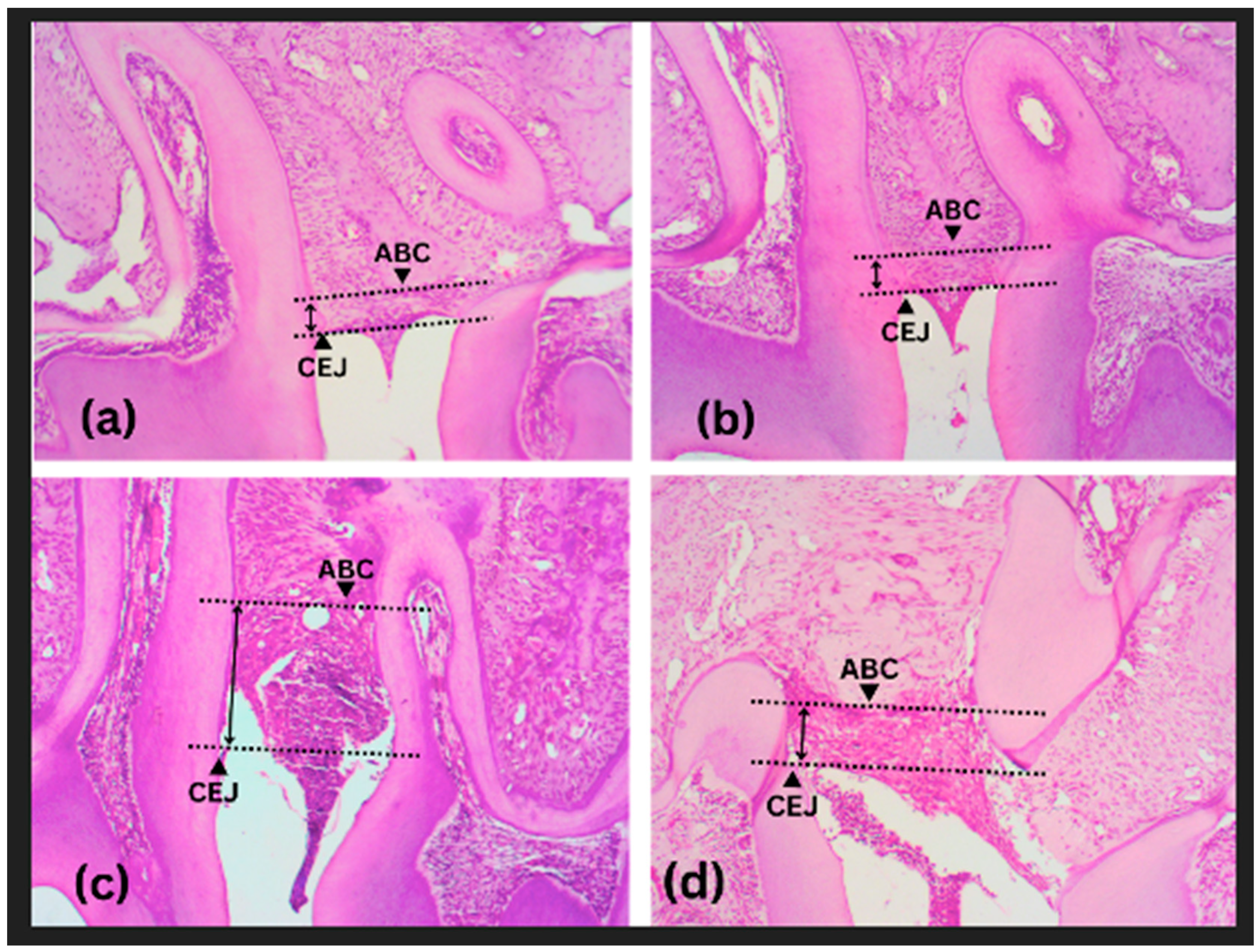 Medicina 59 01778 g002