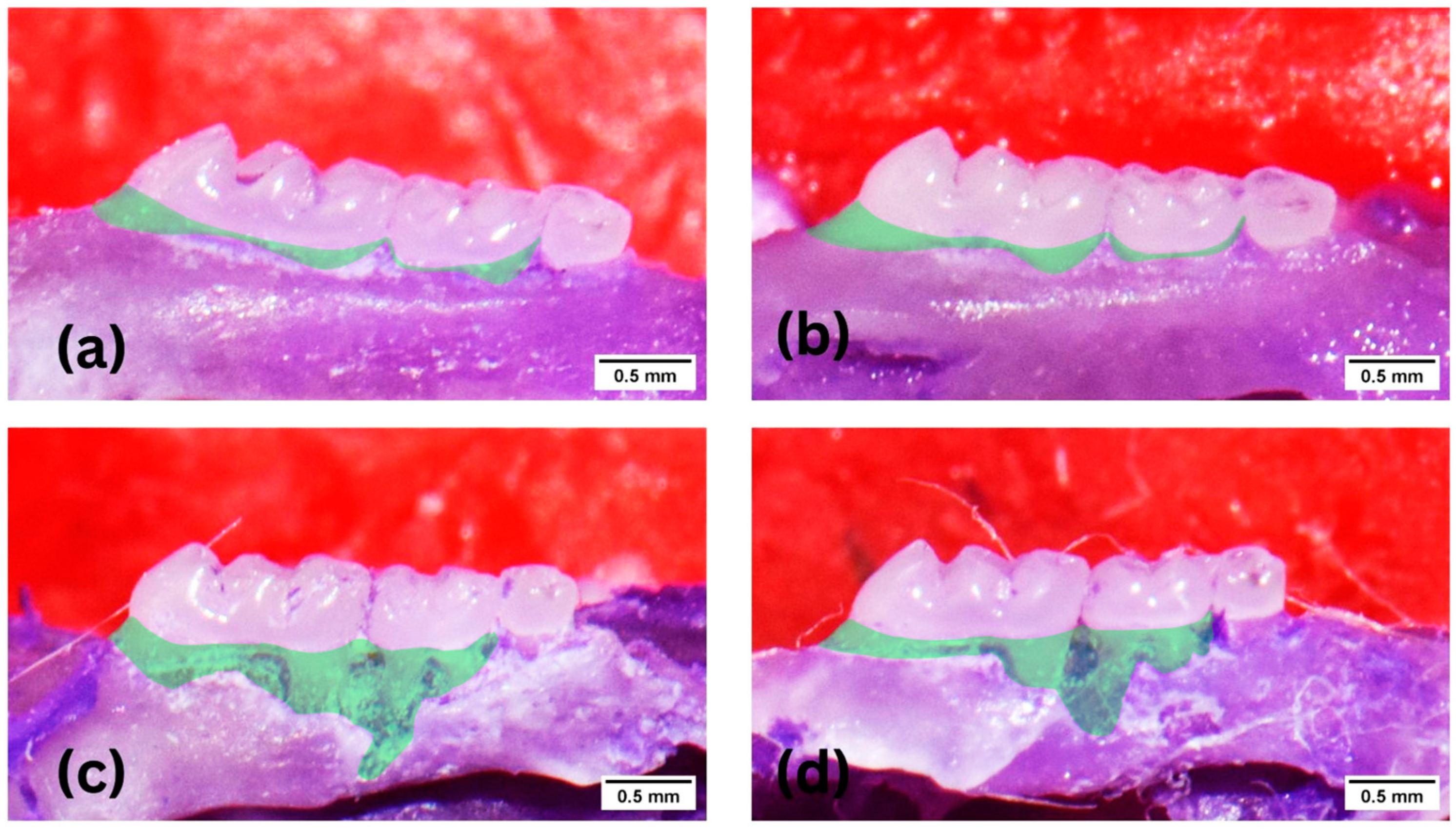 Medicina 59 01778 g004