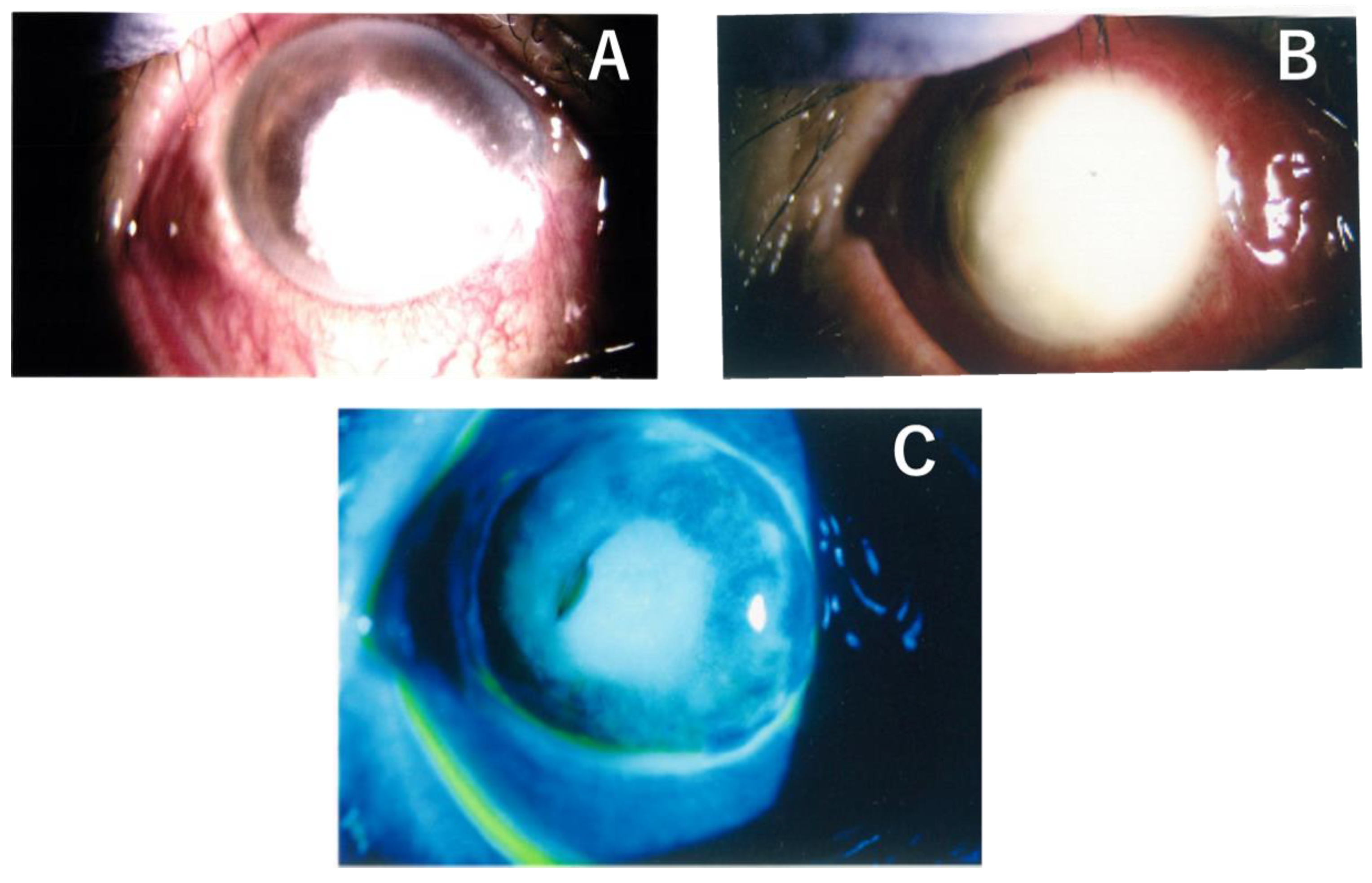 Medicina 59 01780 g001