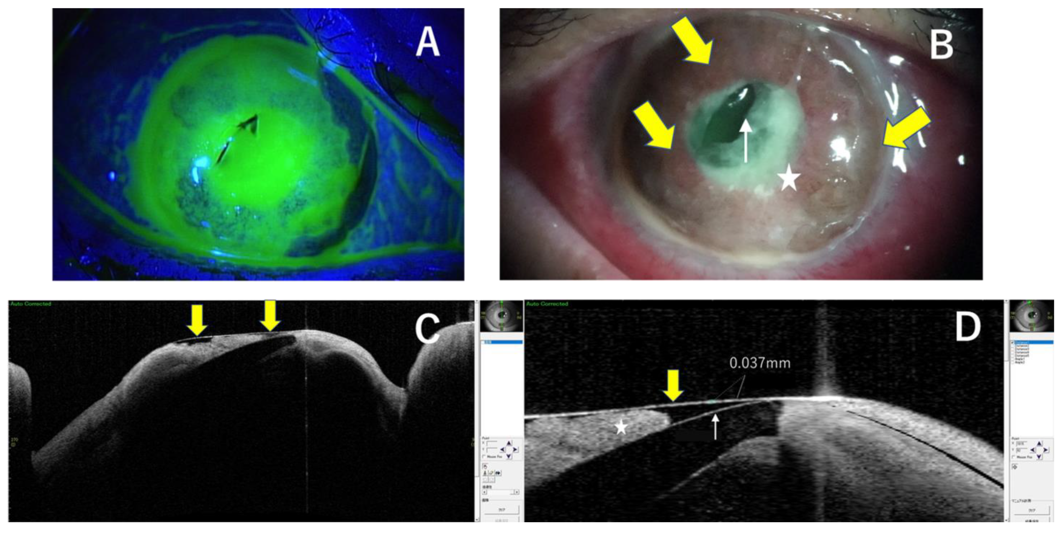 Medicina 59 01780 g002