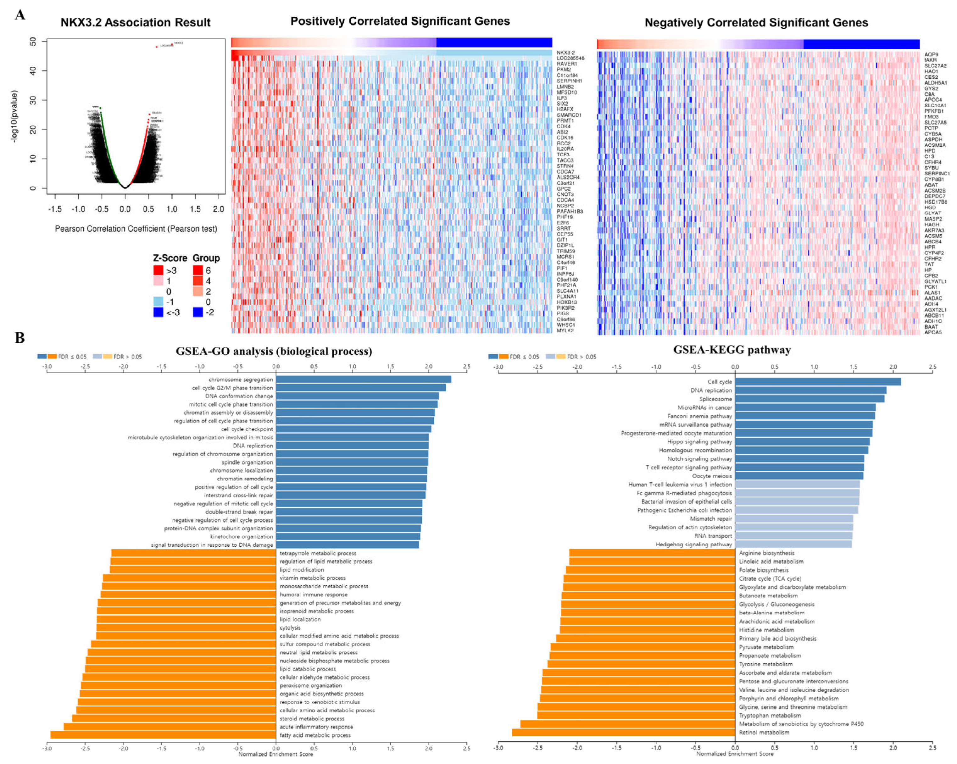Comprehensive Analysis of NKX3.2 in Liver Hepatocellular Comprehensive Analysis of NKX3.2 in Liver Hepatocellular