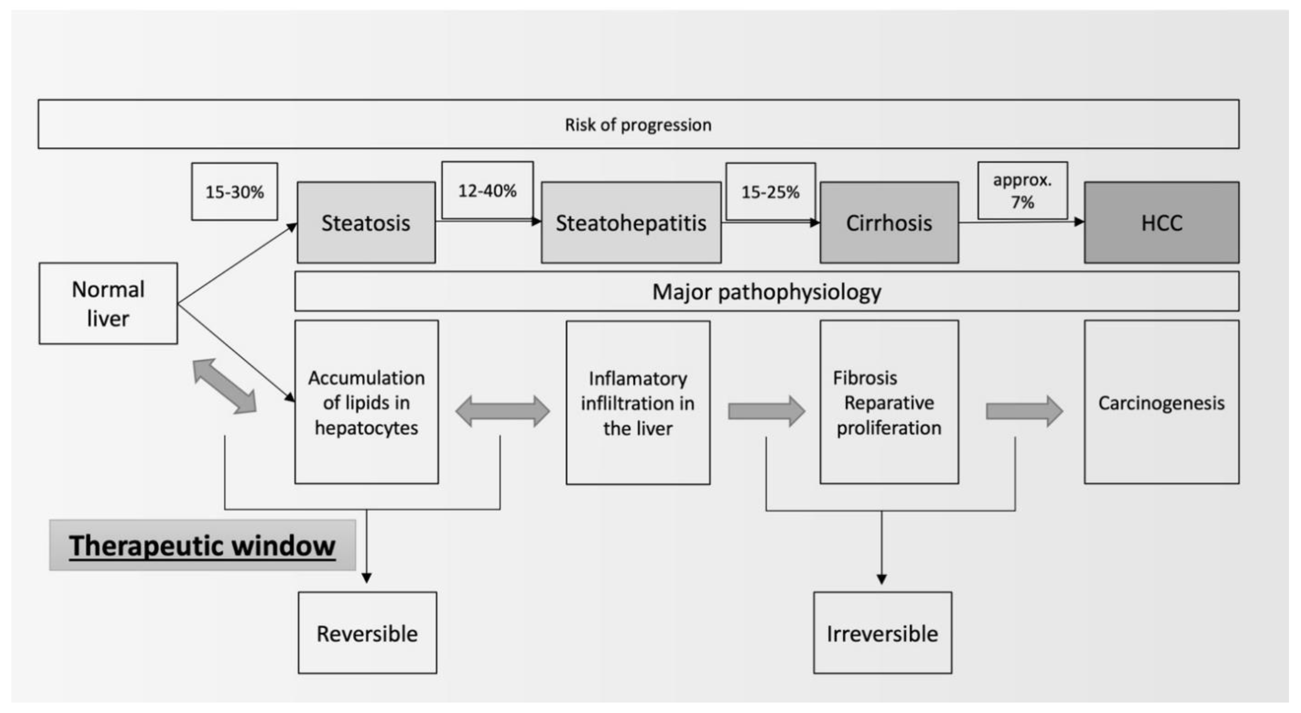 Medicina 59 01789 g001