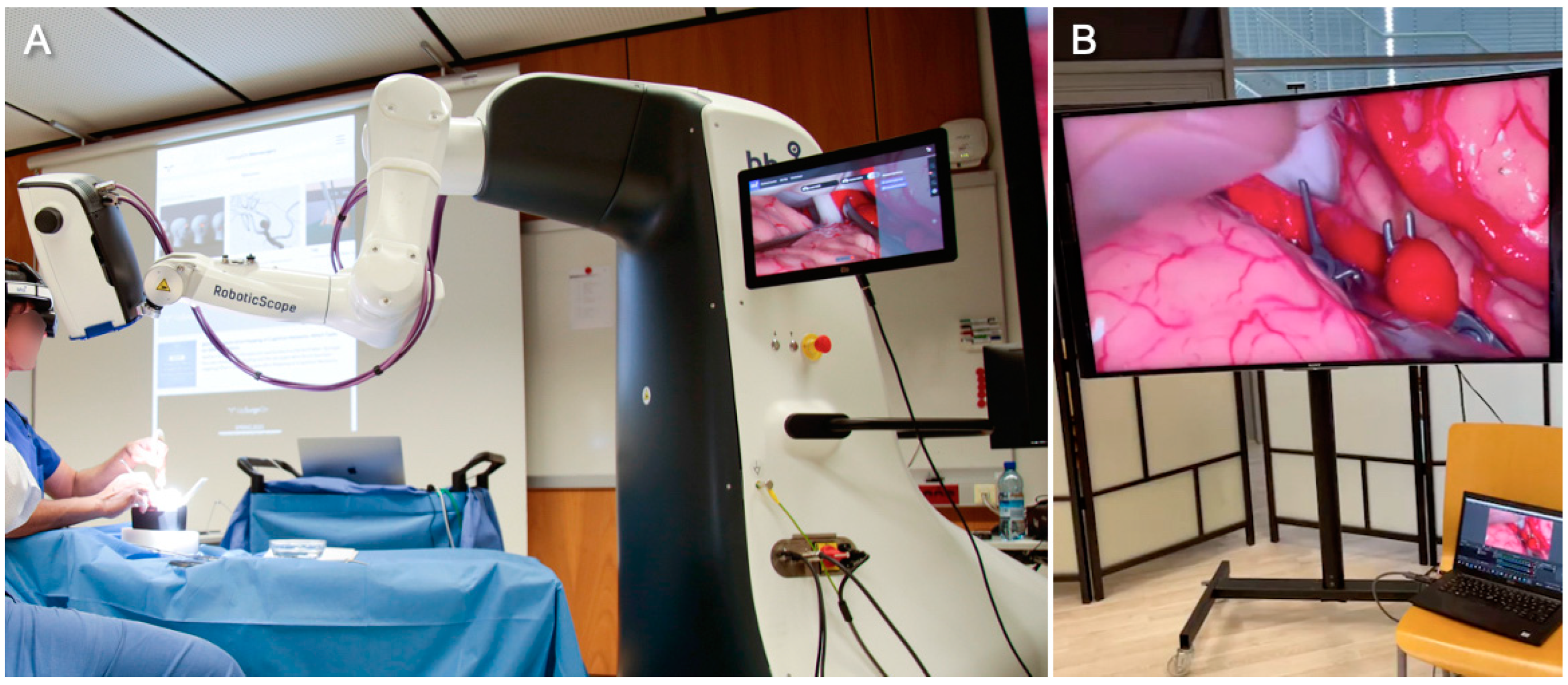 Medicina 59 01791 g001