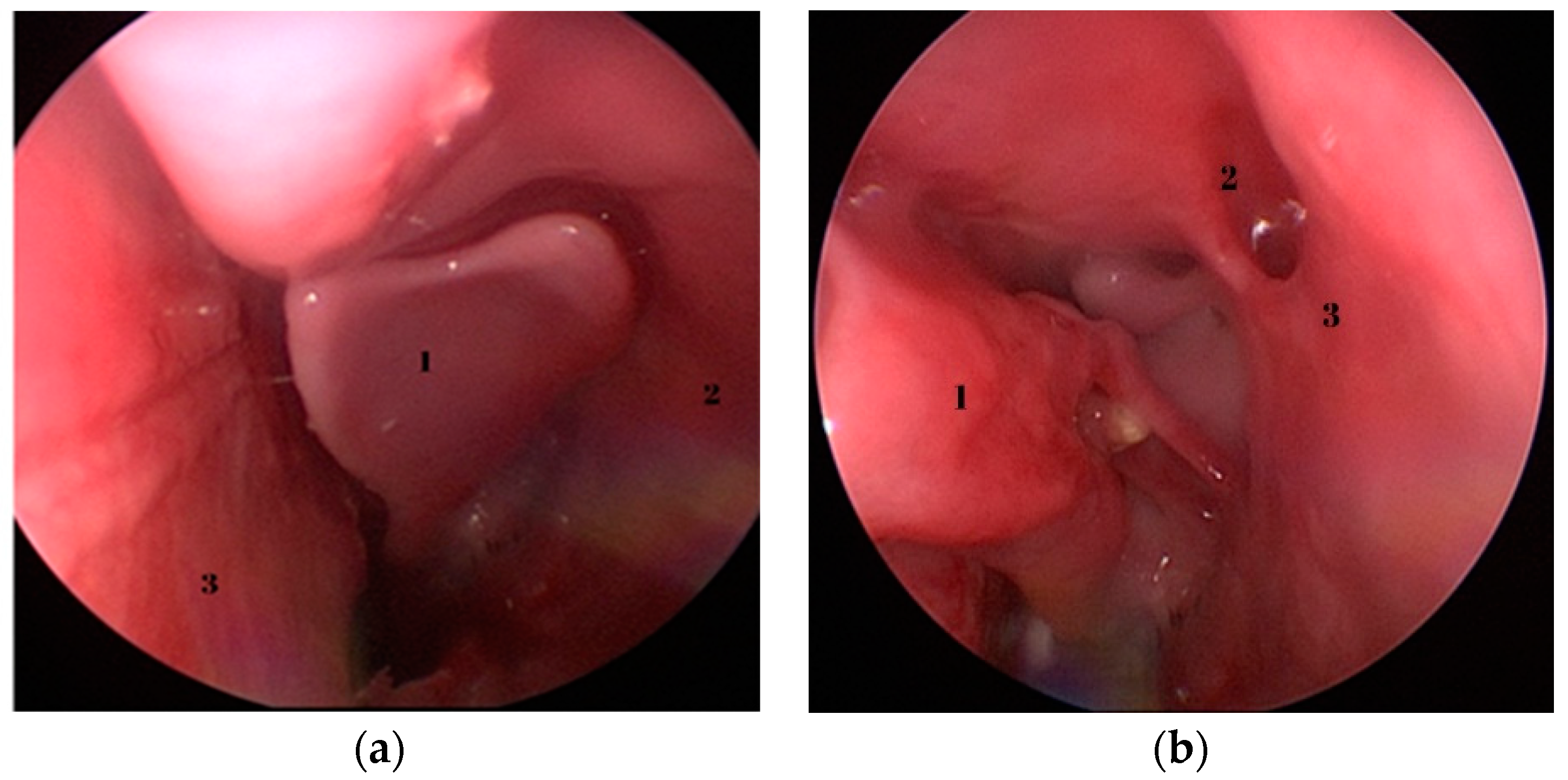 Medicina 59 01792 g003