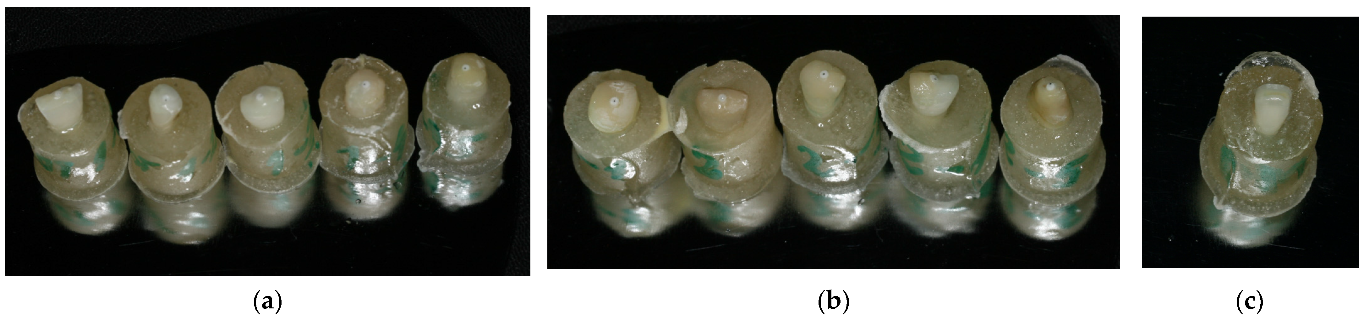 Medicina 59 01797 g001 Medicina 59 01797 g001
