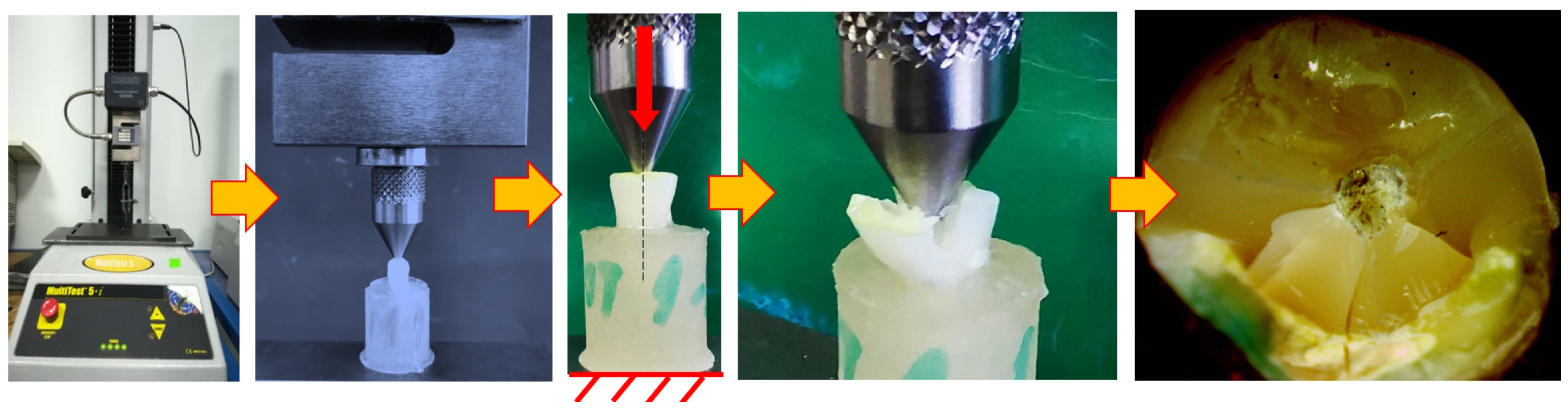 Medicina 59 01797 g002 Medicina 59 01797 g002