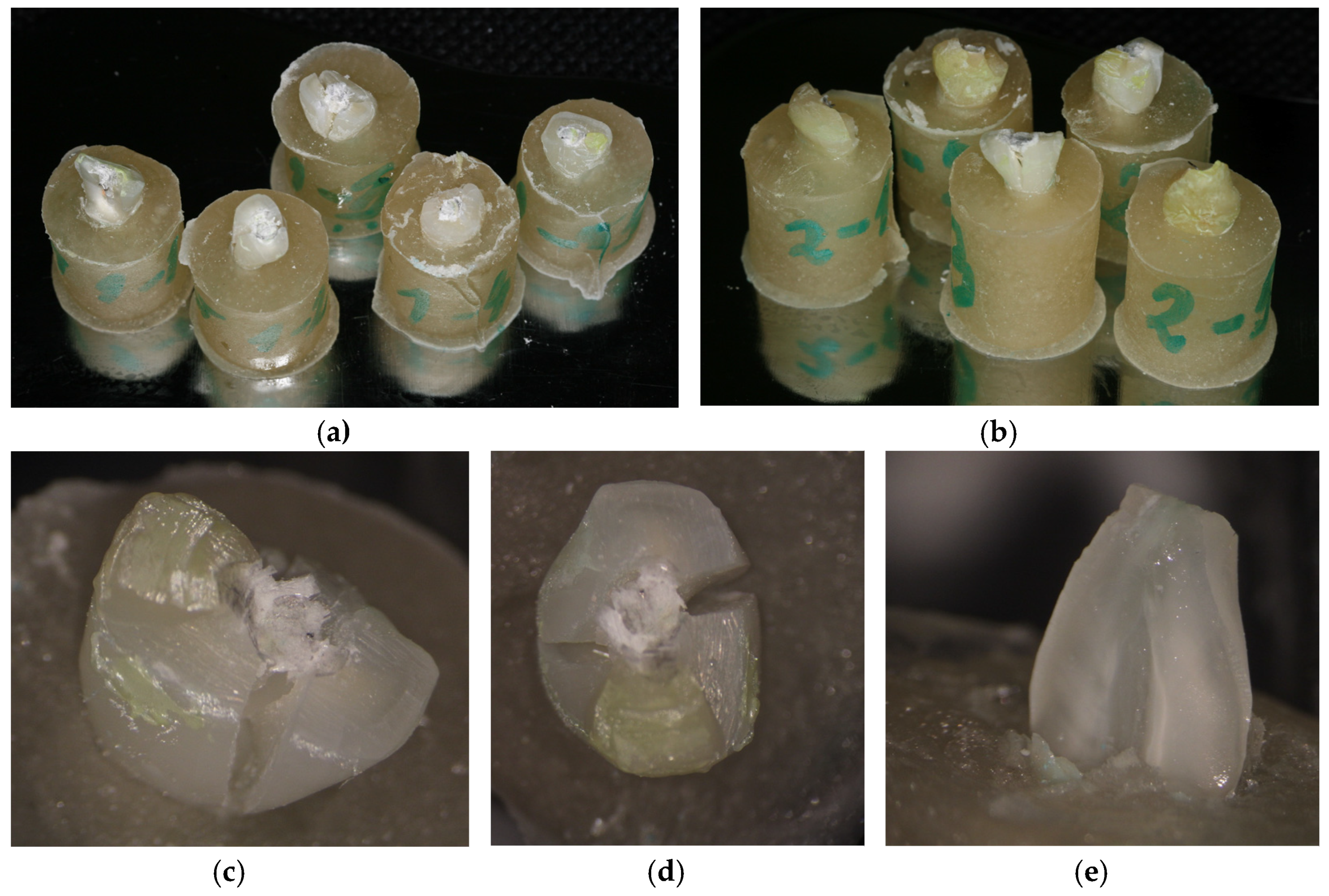 Medicina 59 01797 g003 Medicina 59 01797 g003