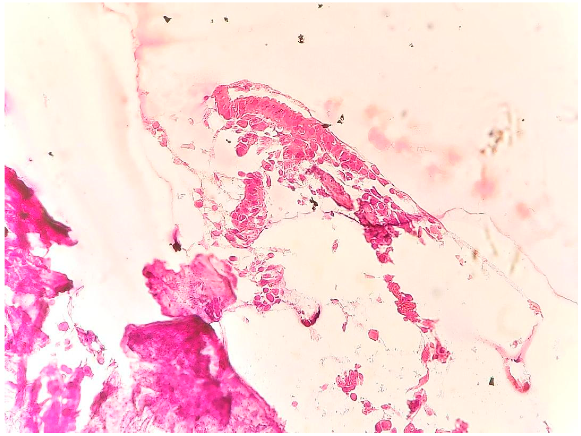 Medicina 59 01803 g005