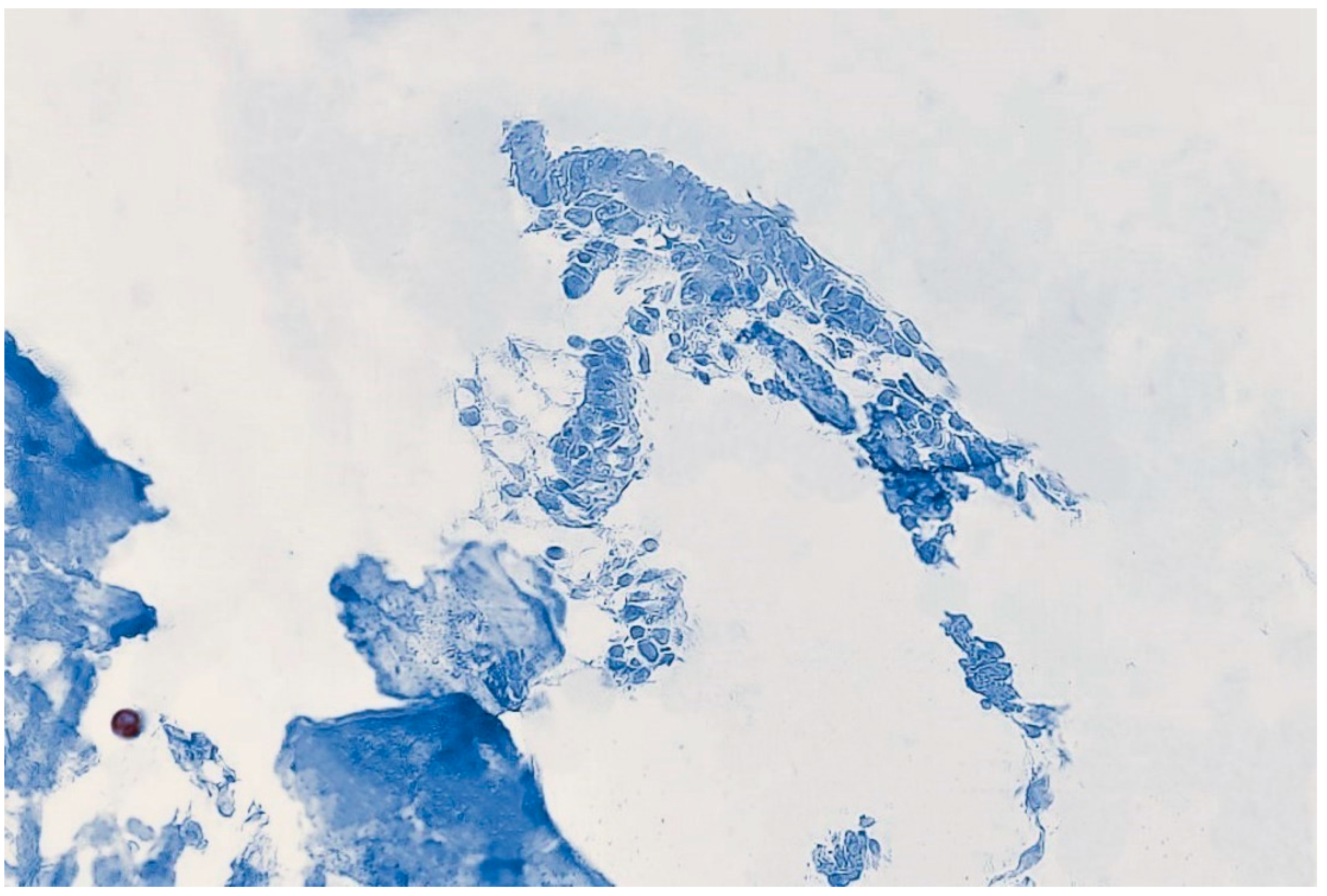 Medicina 59 01803 g006