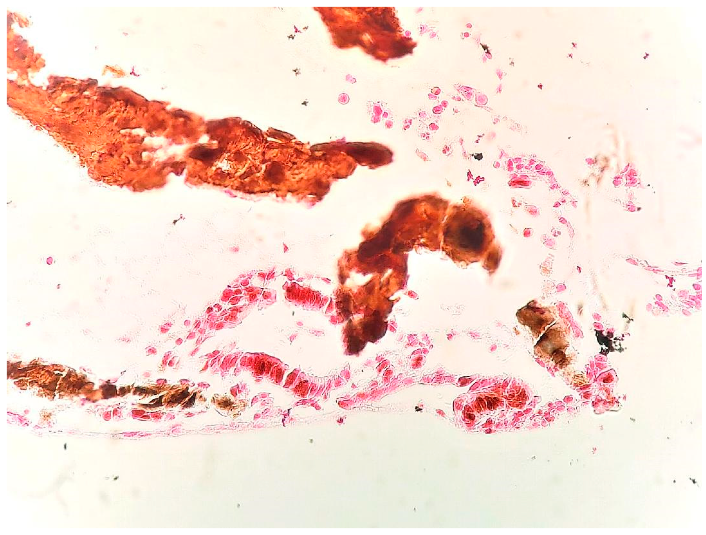 Medicina 59 01803 g007