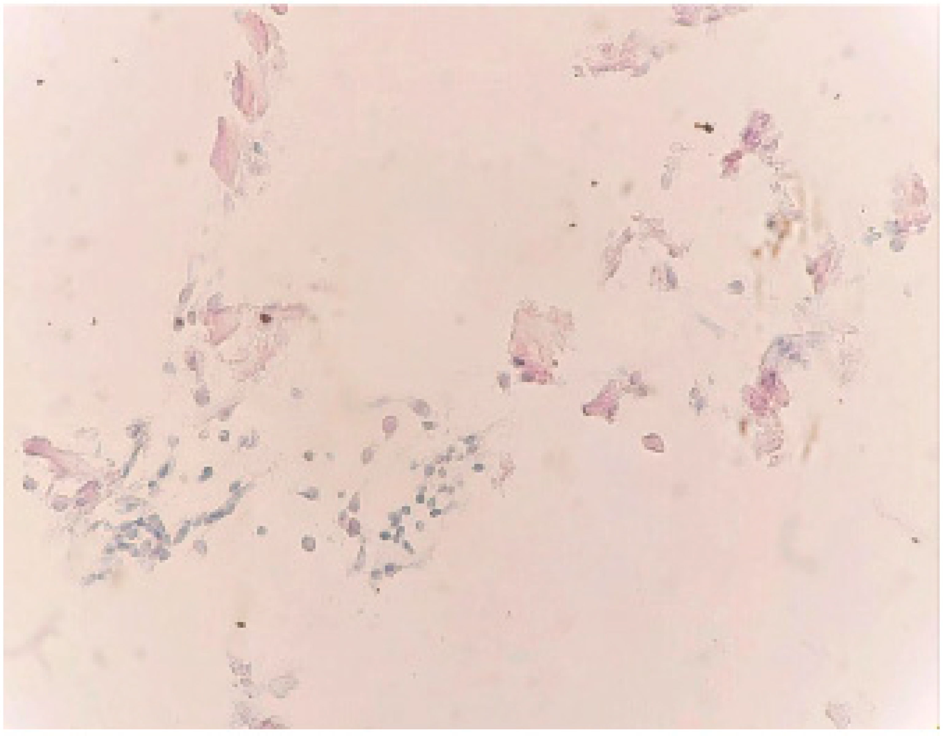 Medicina 59 01803 g008