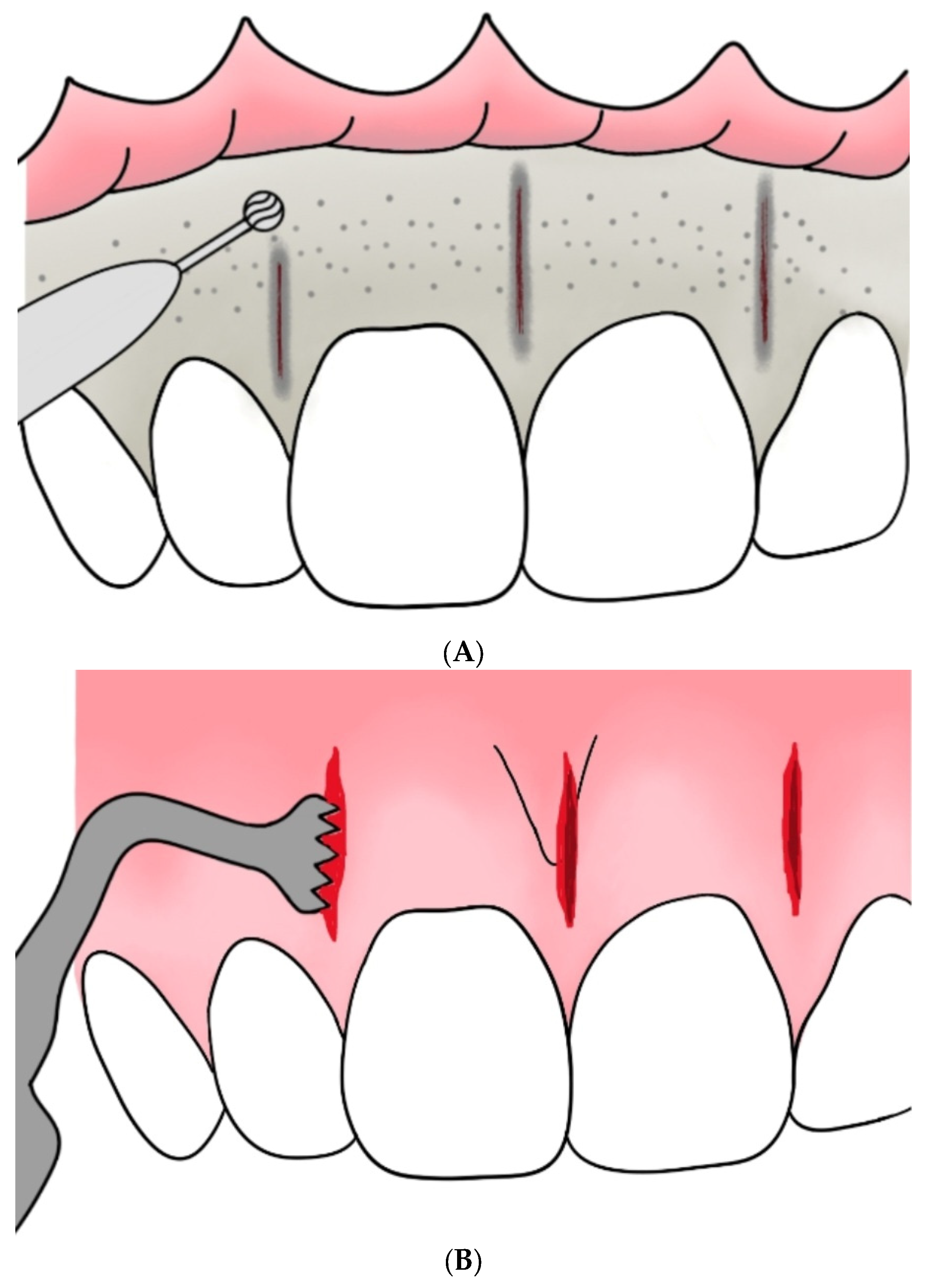 Medicina 59 01804 g001