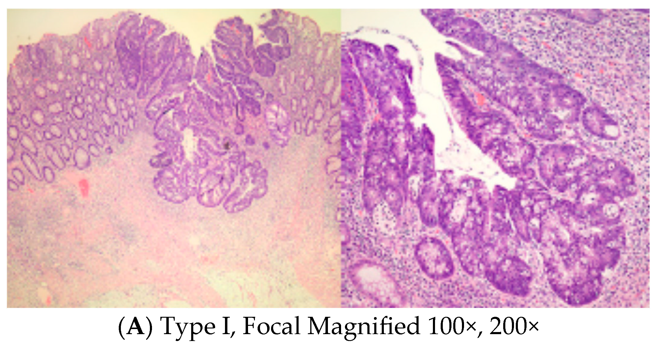 Medicina 59 01807 g001a