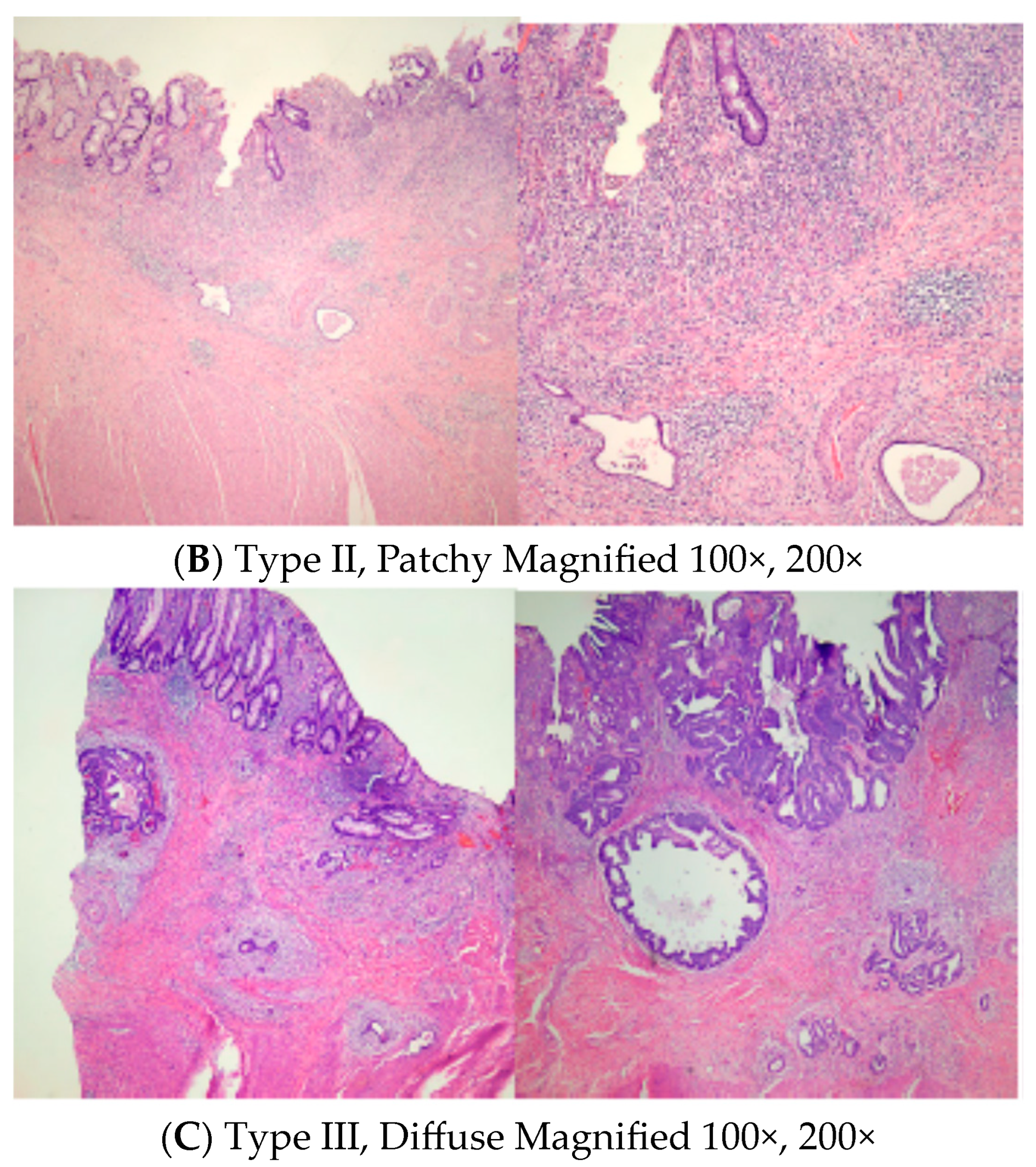 Medicina 59 01807 g001b