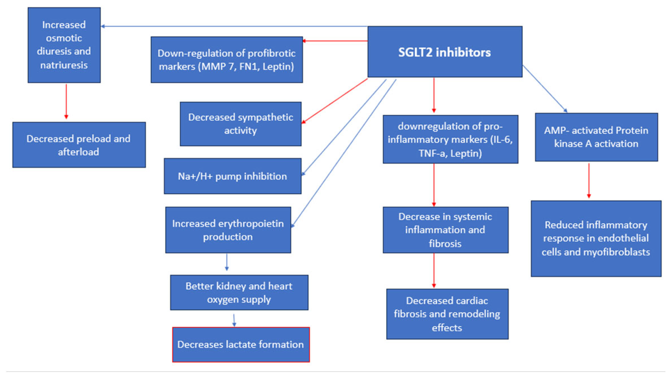 Medicina 59 01810 g006