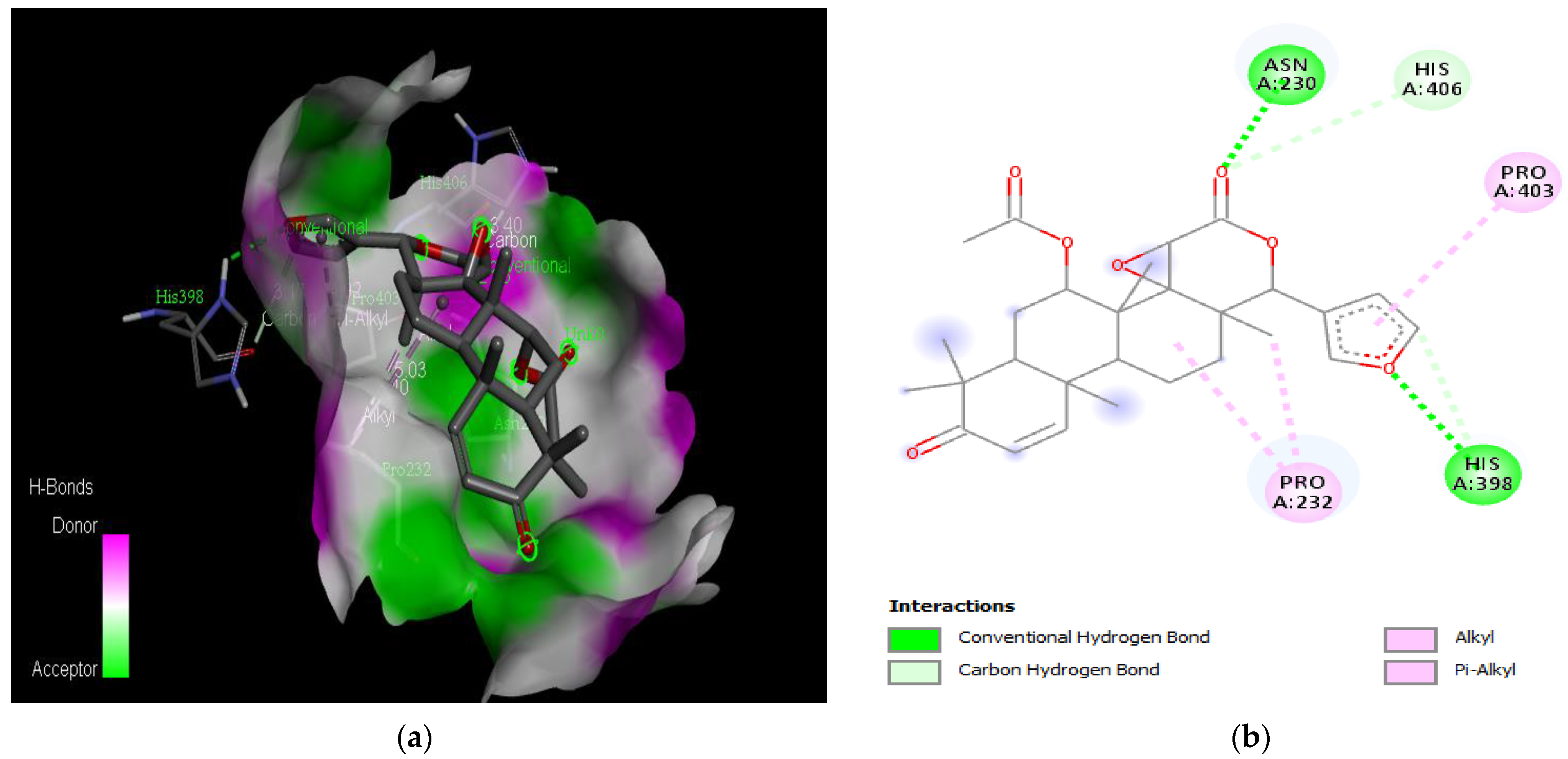 Medicina 59 01812 g004