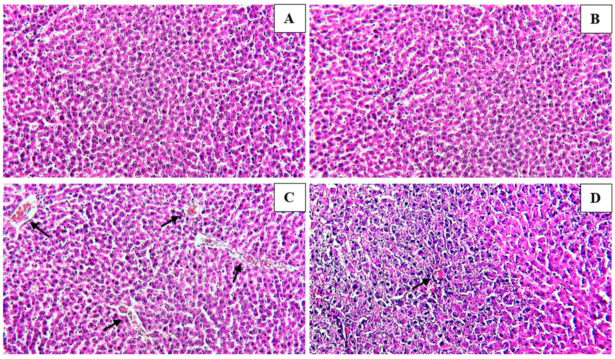 Medicina 59 01814 g003 Medicina 59 01814 g003