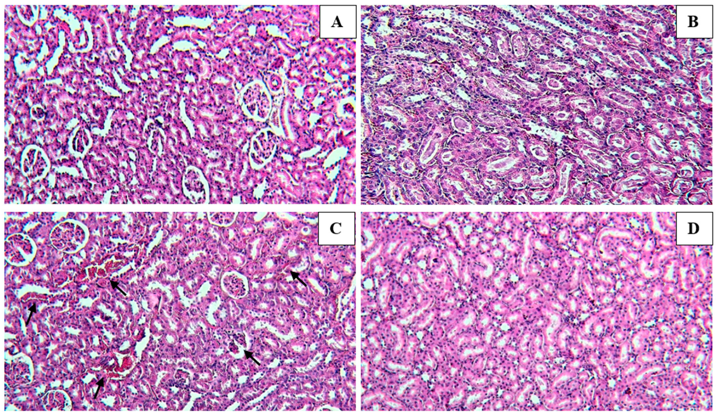Medicina 59 01814 g004 Medicina 59 01814 g004