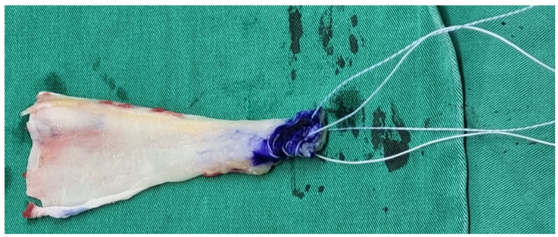 Medicina 59 01817 g004