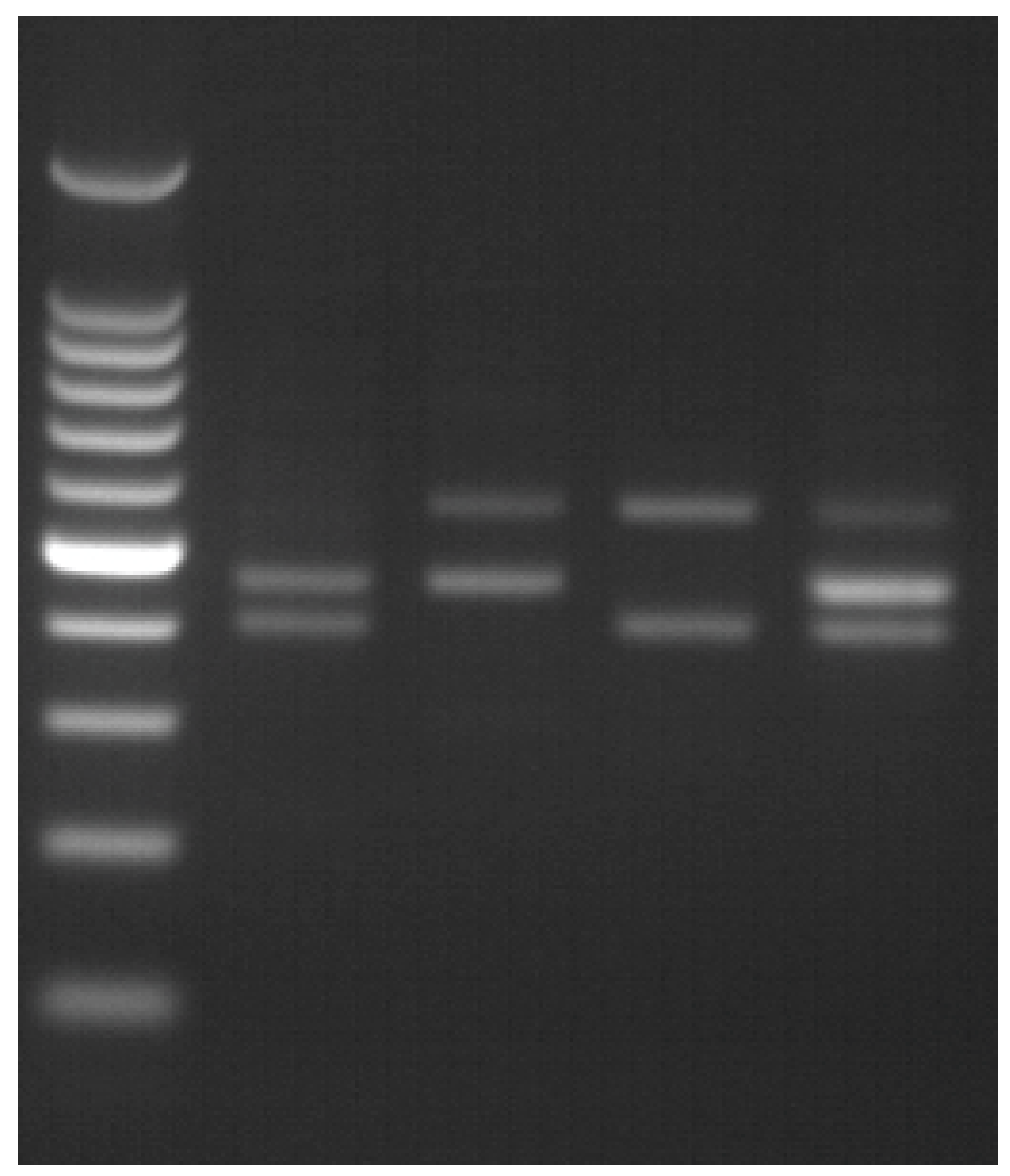 Medicina 59 01821 g002