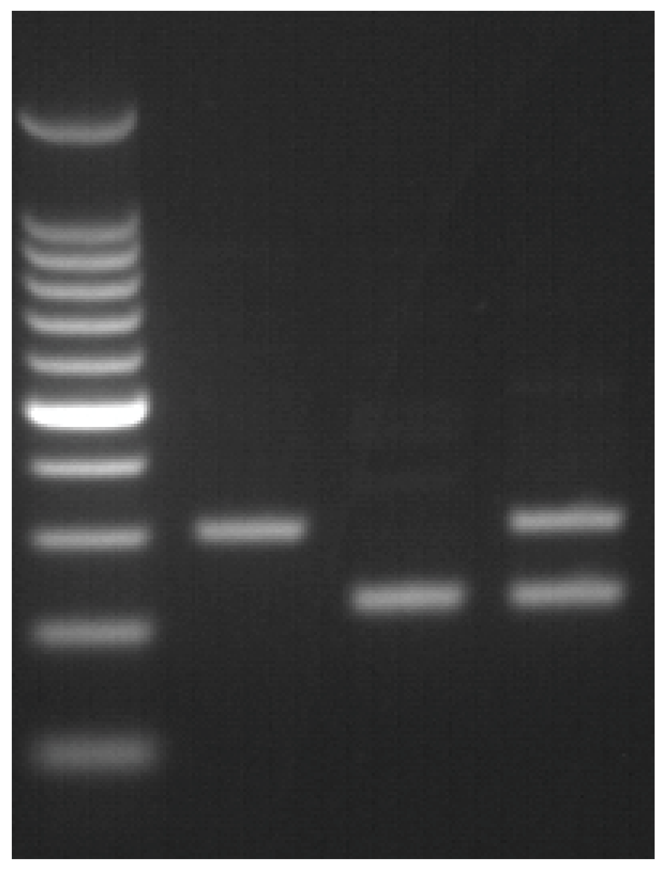 Medicina 59 01821 g003