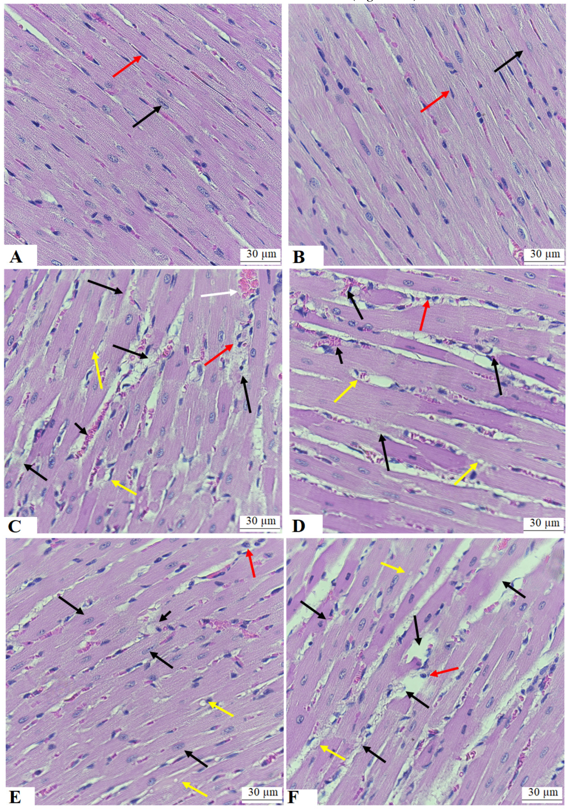 Medicina 59 01830 g004
