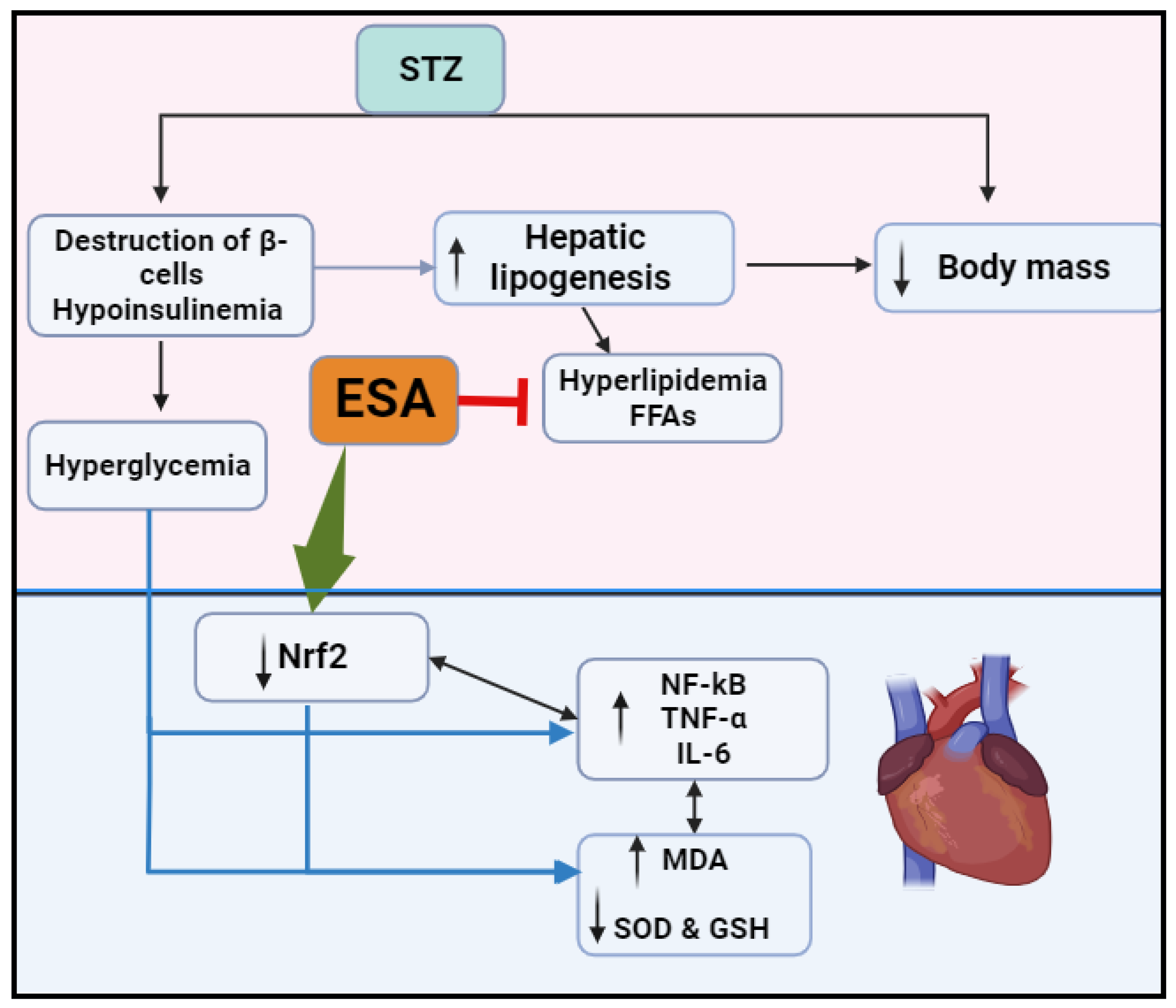 Medicina 59 01830 g005