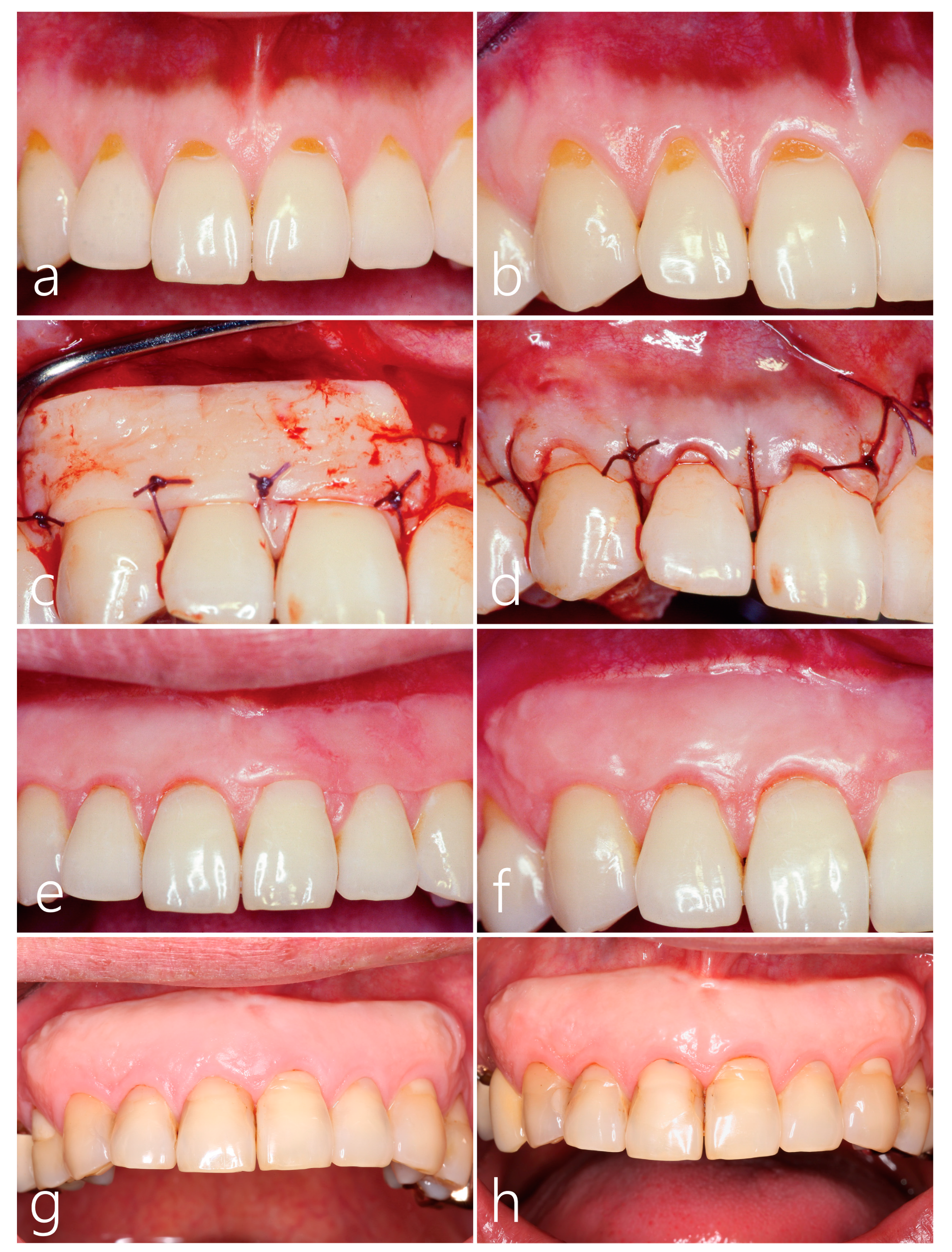 Medicina 59 01832 g002