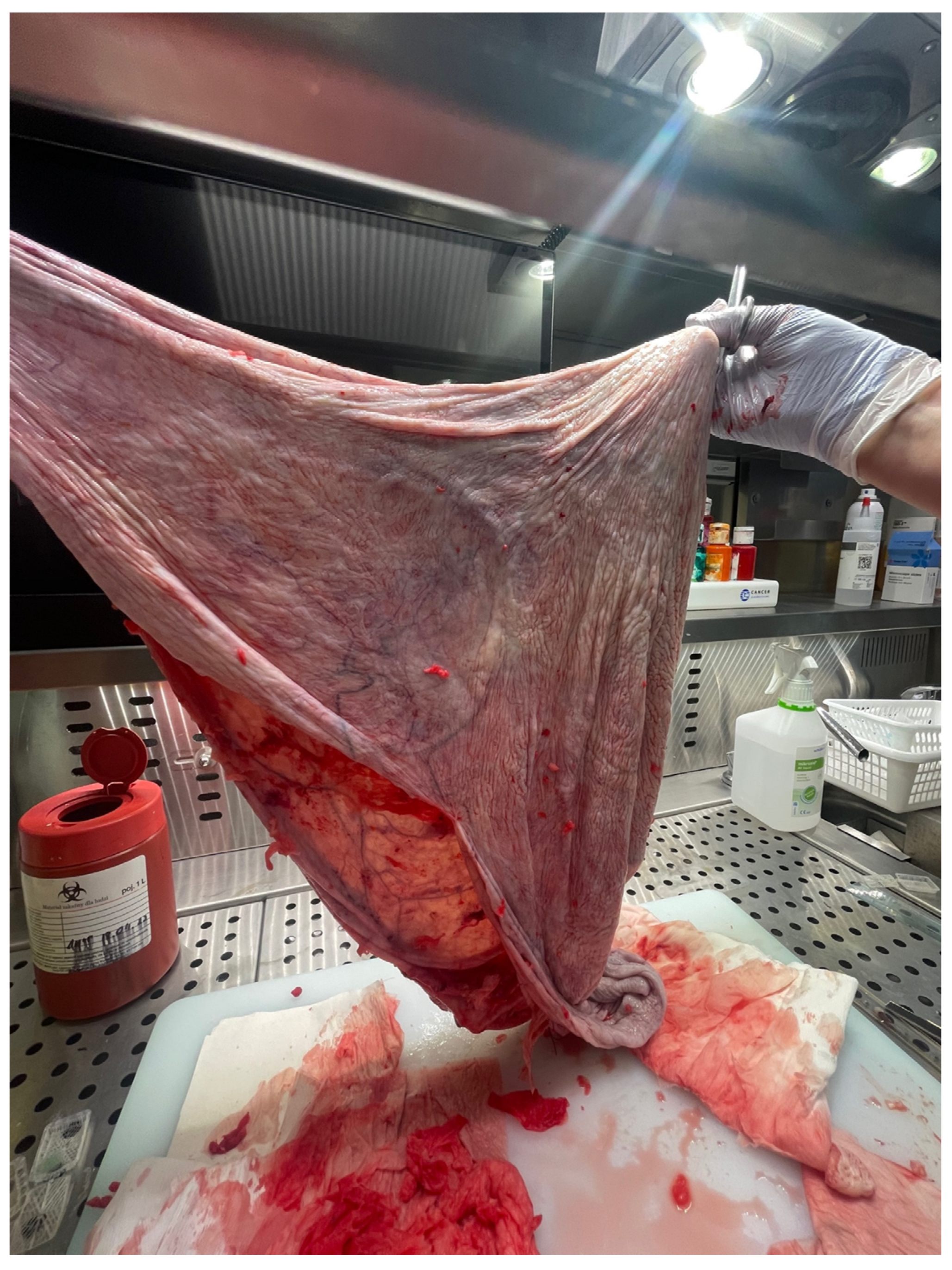 Medicina 59 01833 g007