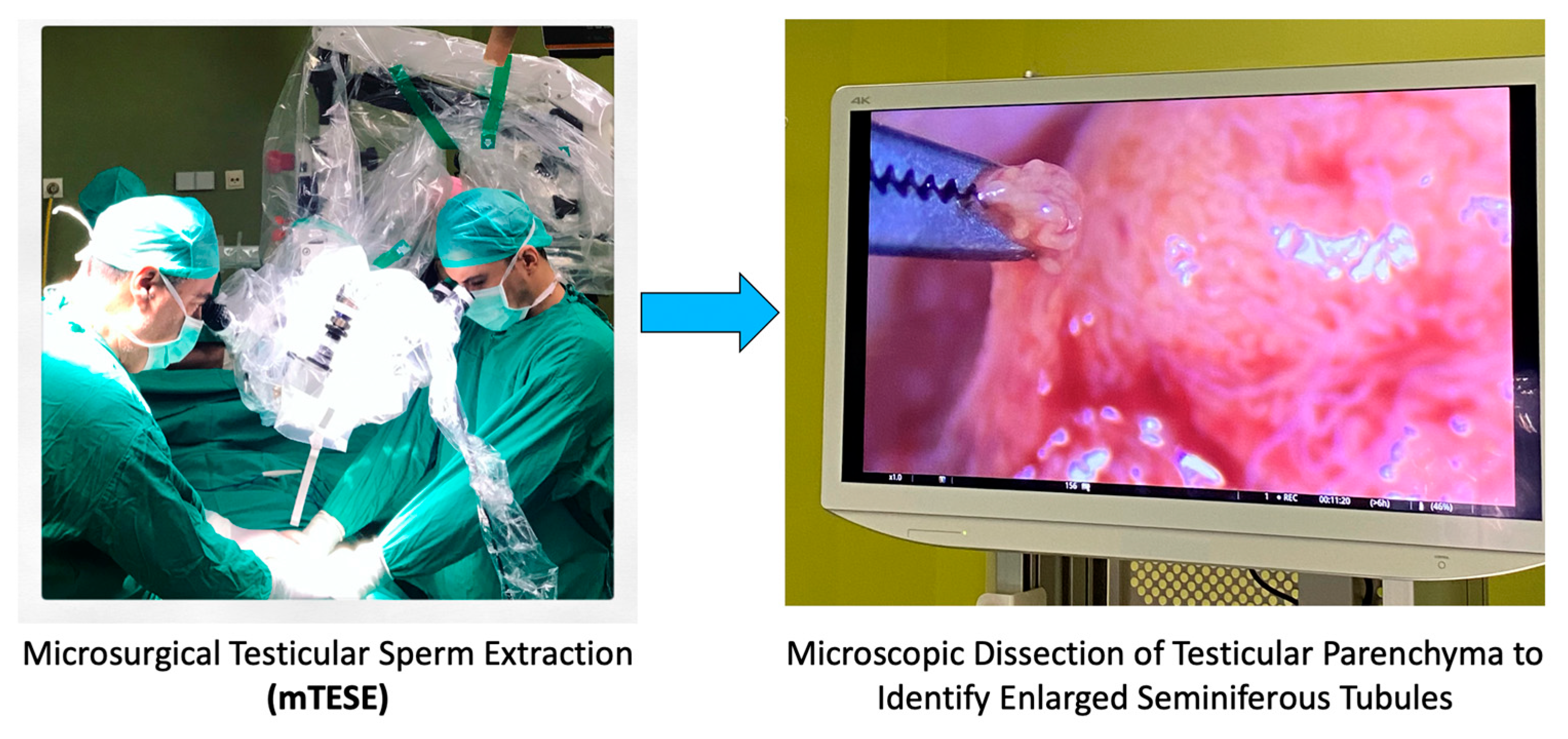 Medicina 59 01835 g003 Medicina 59 01835 g003