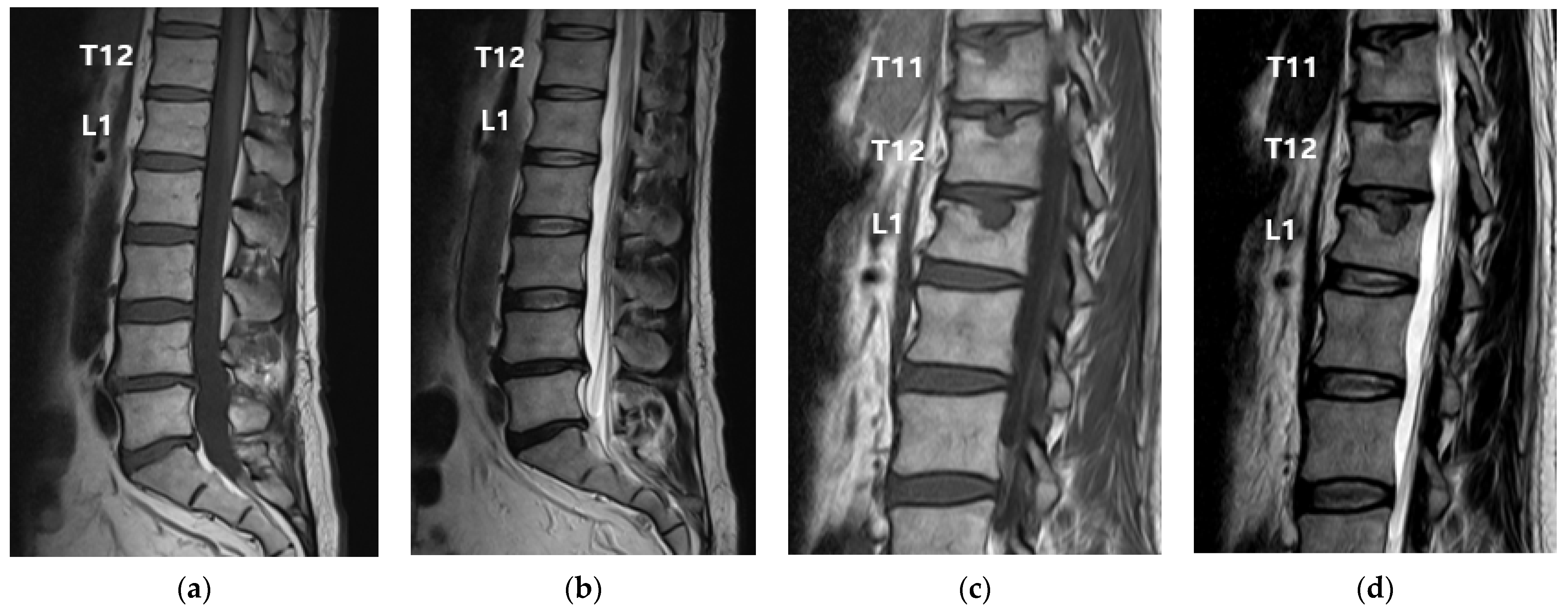 Medicina 59 01839 g001