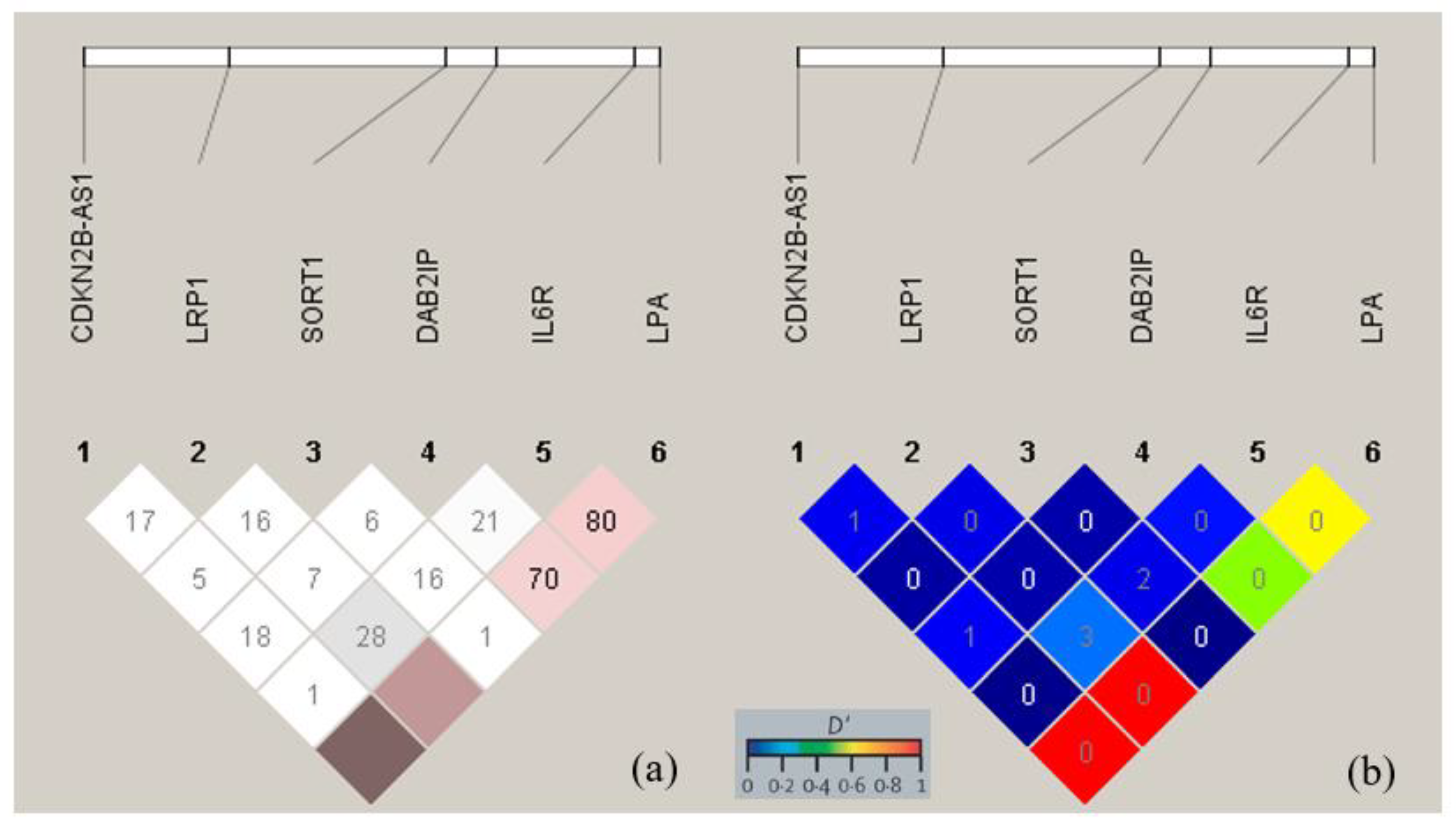 Medicina 59 01844 g002