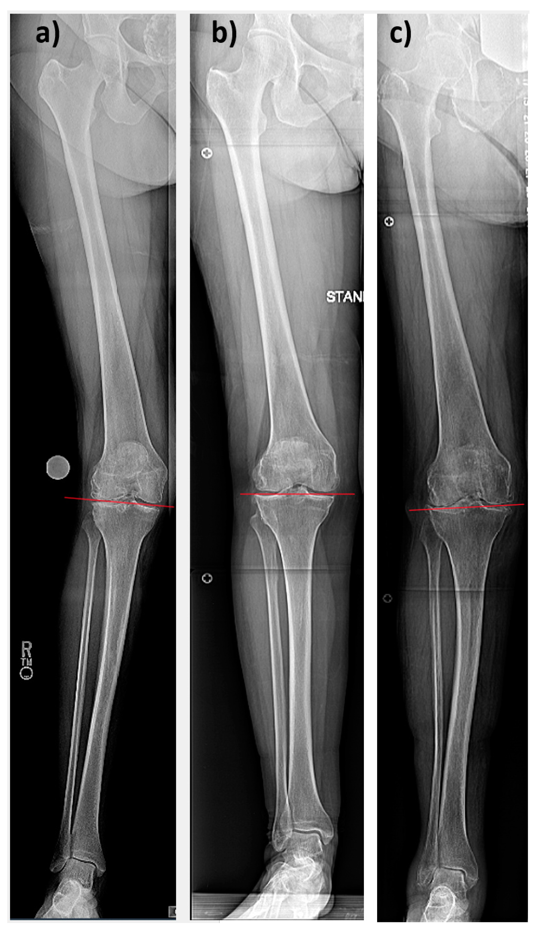 Medicina 59 01852 g002