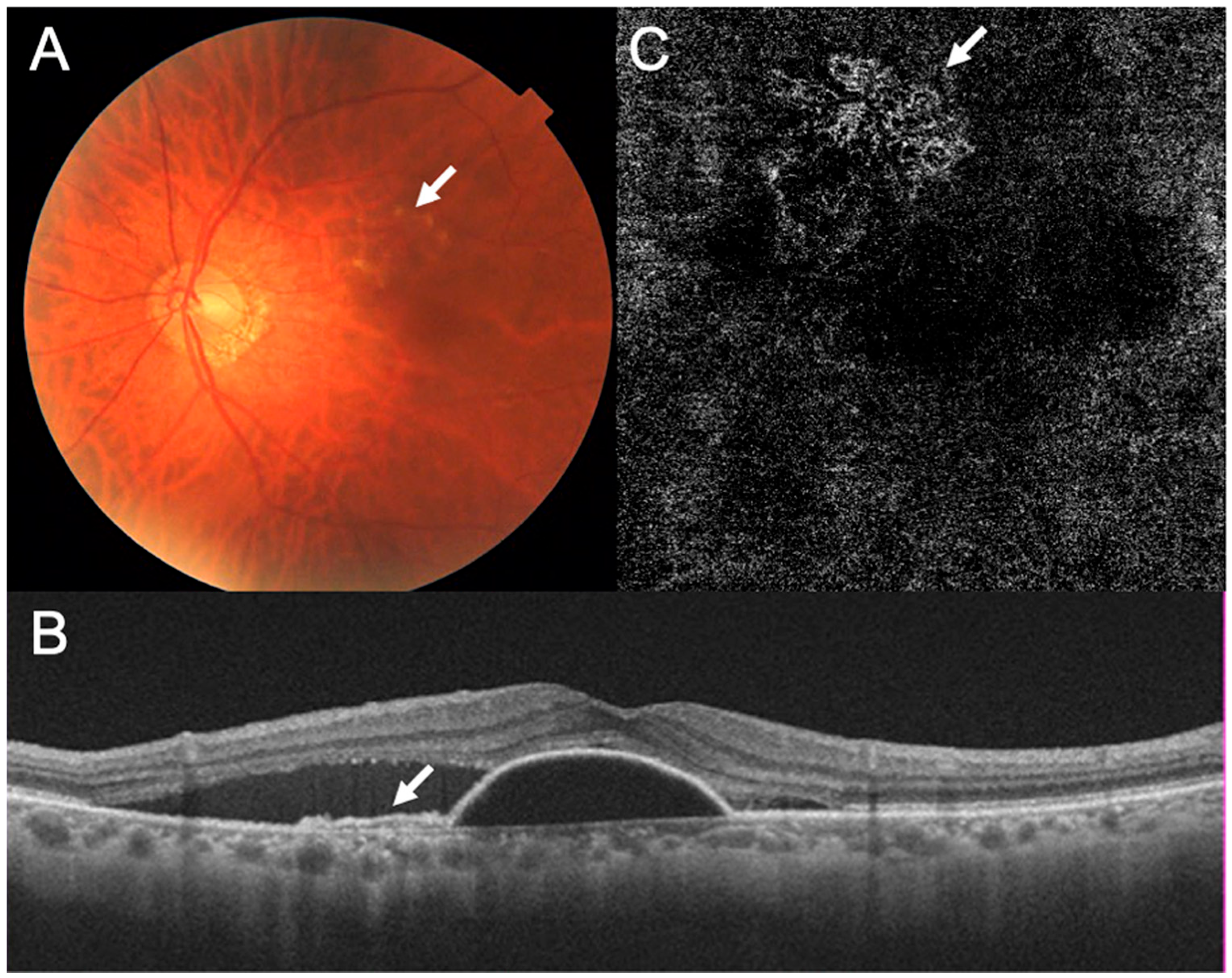 Medicina 59 01856 g001