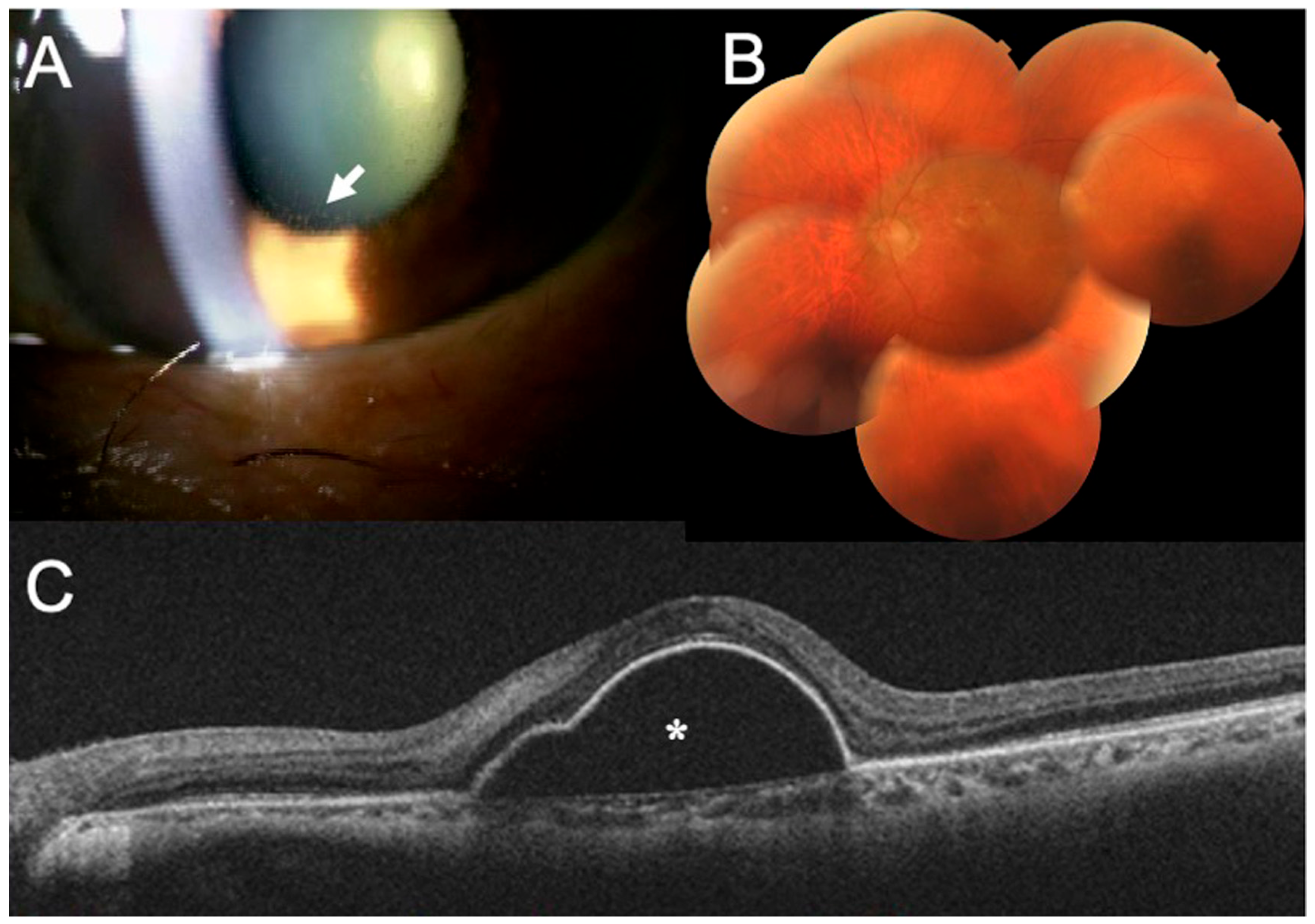 Medicina 59 01856 g004
