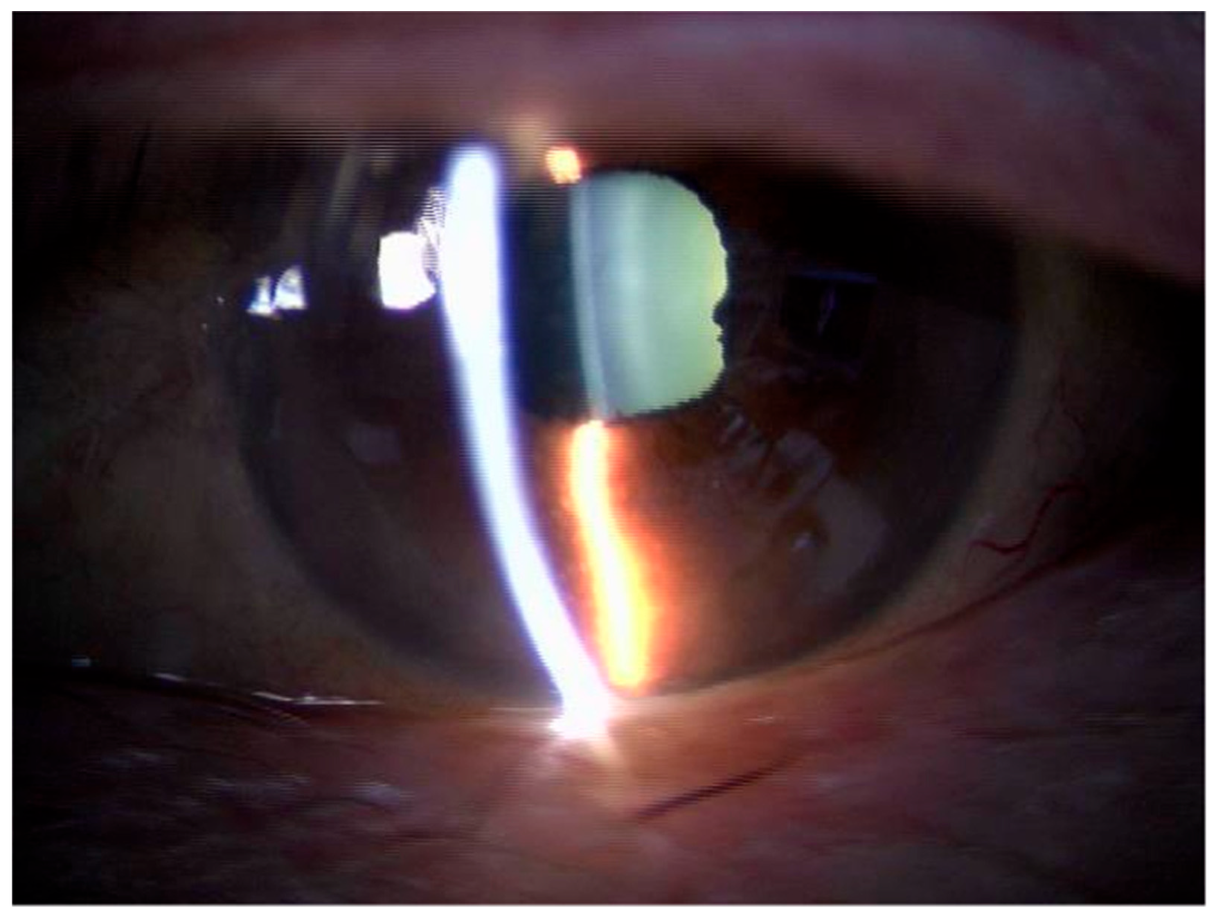 Medicina 59 01856 g005