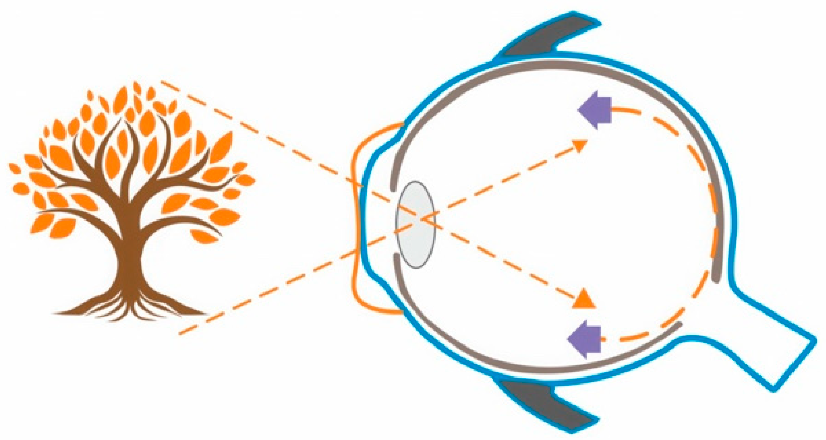 Medicina 59 01859 g004