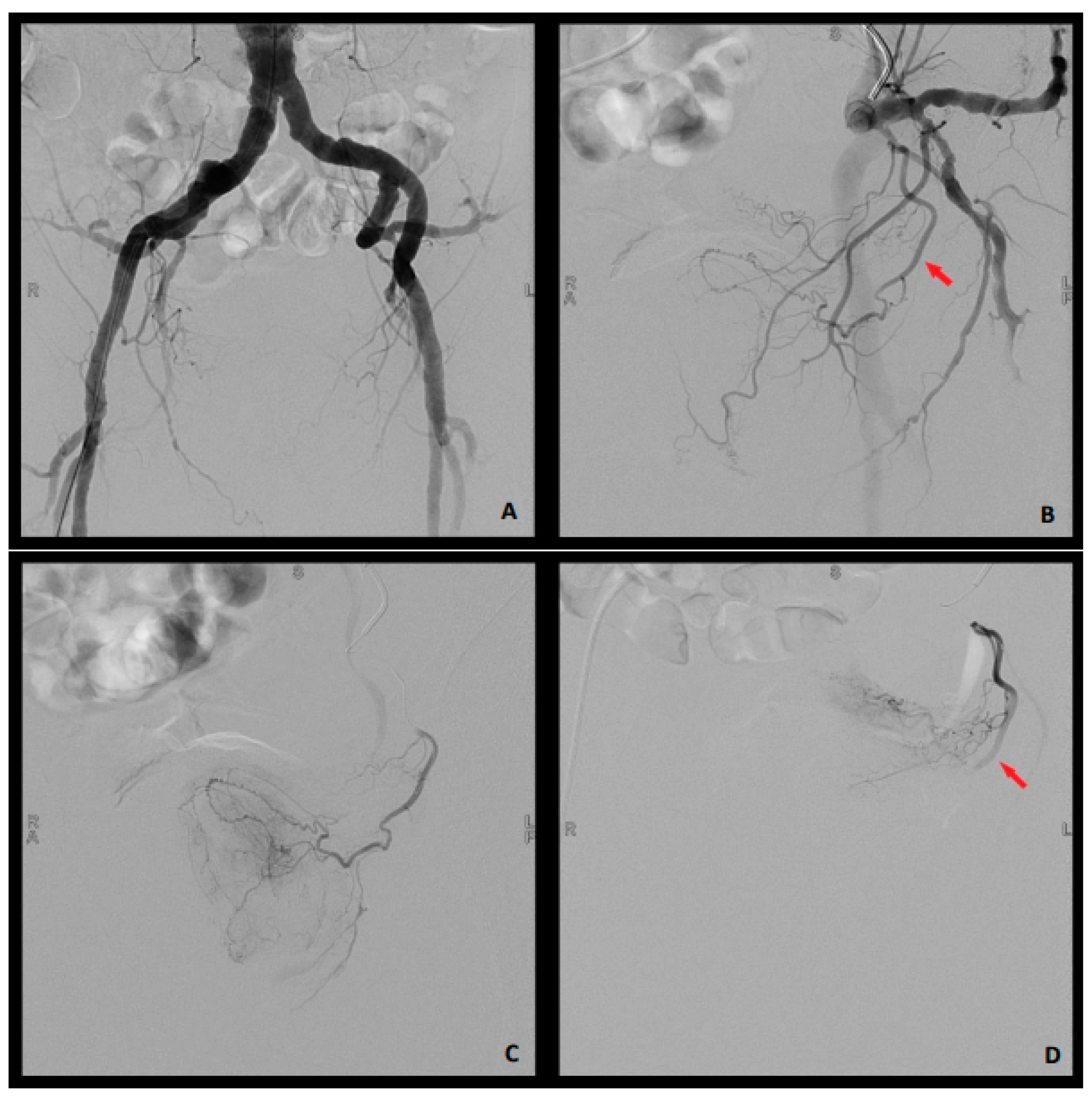 Medicina 59 01871 g001
