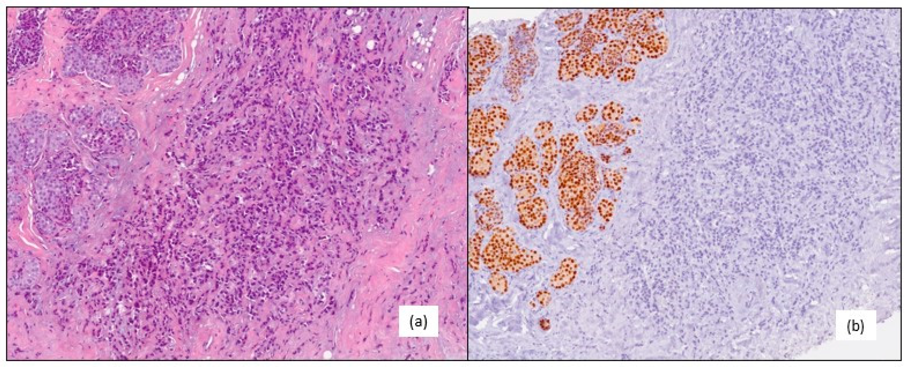 Medicina 59 01875 g001