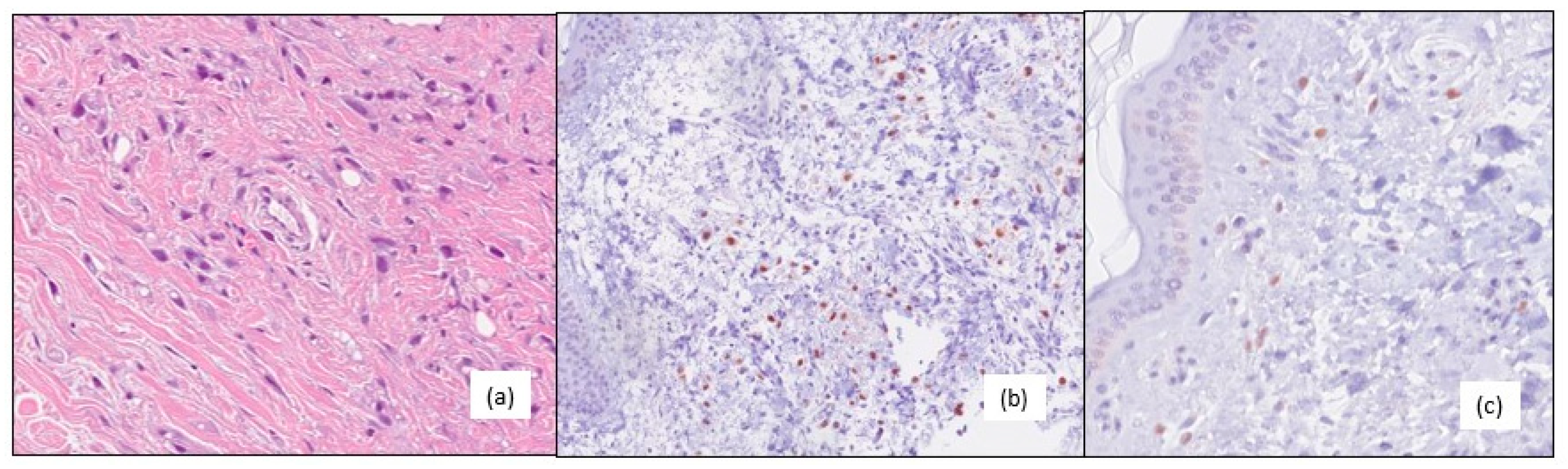 Medicina 59 01875 g002