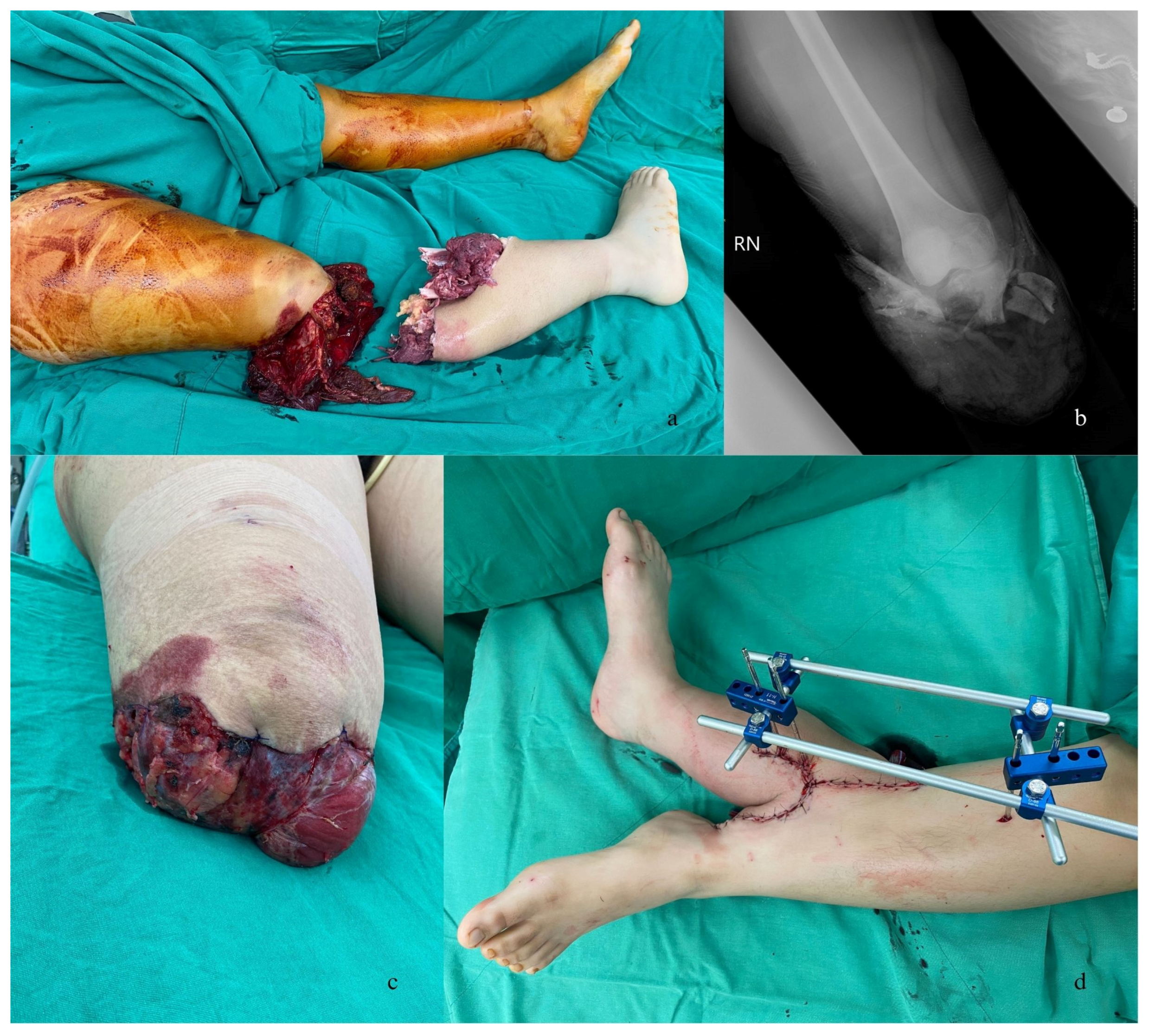 Medicina 59 01879 g001