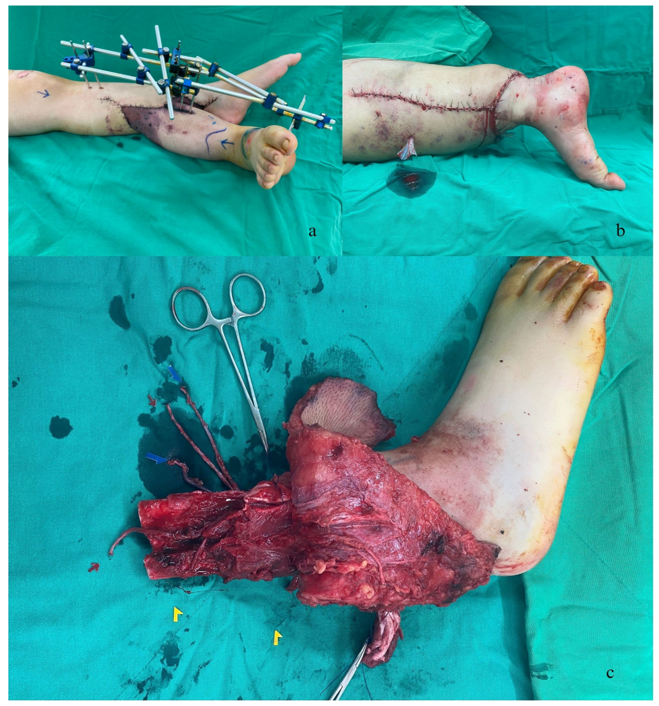 Medicina 59 01879 g002