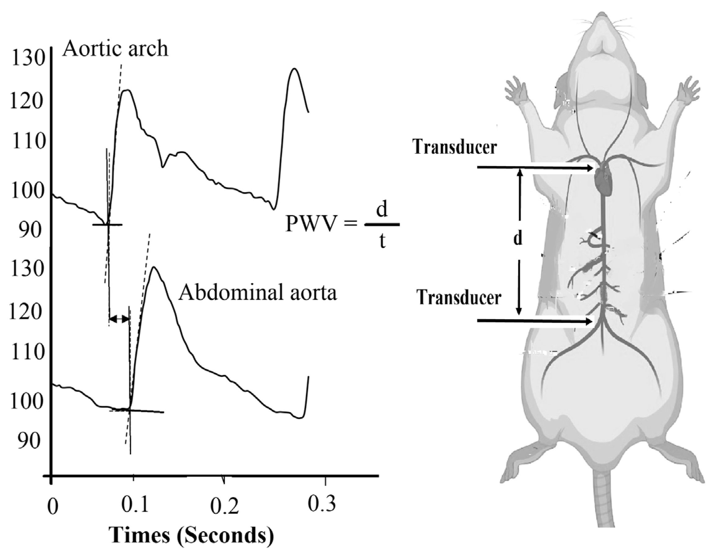 Medicina 59 01880 g002 Medicina 59 01880 g002