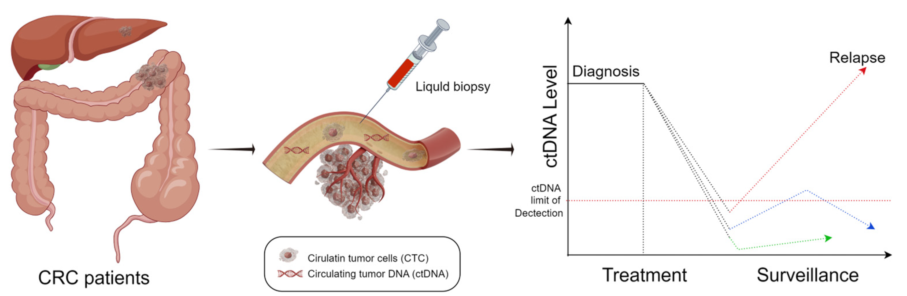 Medicina 59 01886 g001